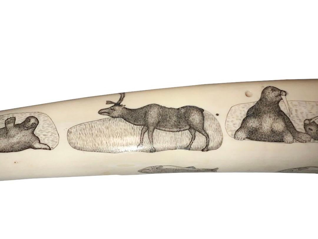 Carved Walrus Tusk Scrimshaw Cribbage Game 1