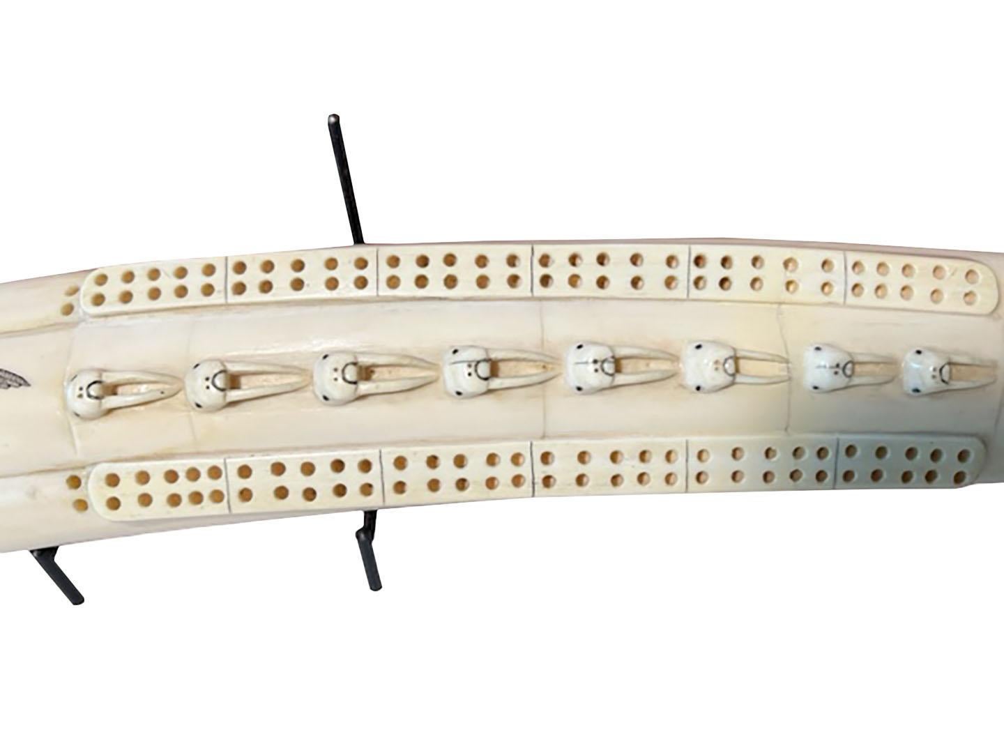 Carved Walrus Tusk Scrimshaw Cribbage Game 3