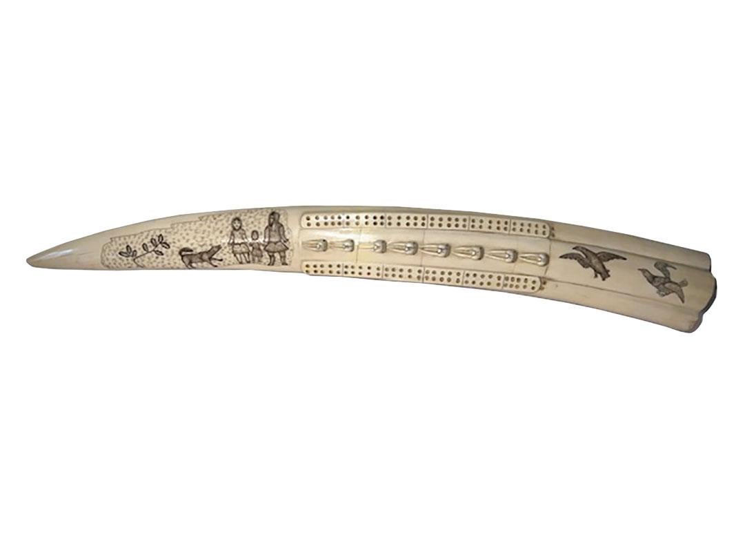 scrimshaw walrus tusk cribbage board