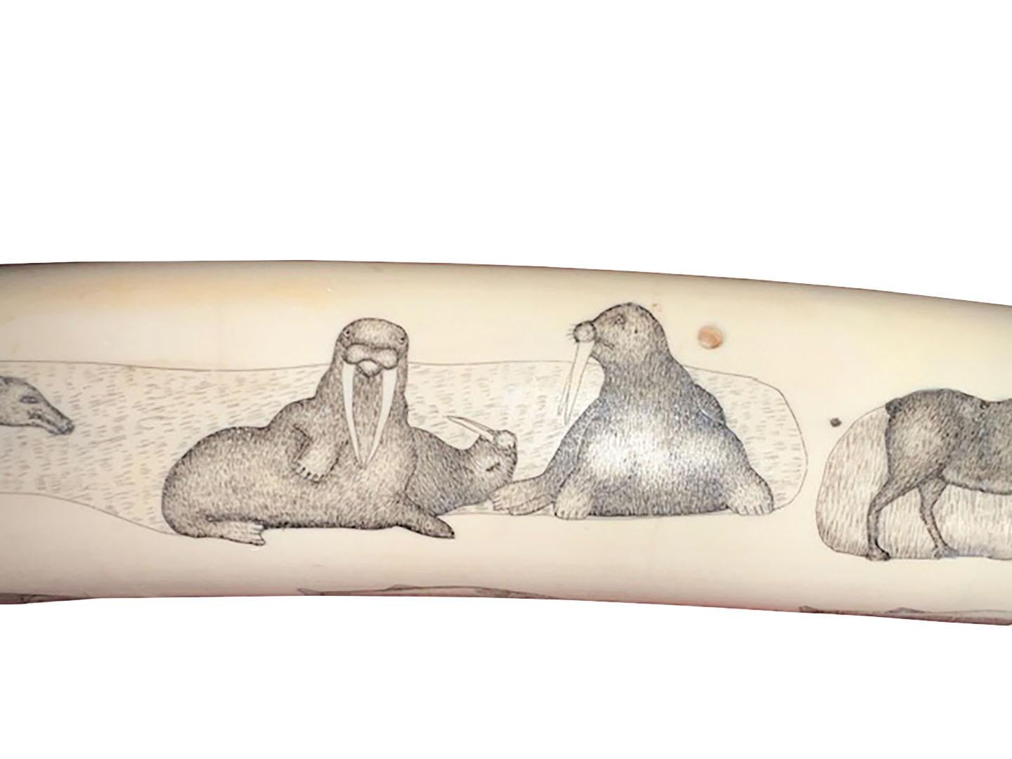 American Carved Walrus Tusk Scrimshaw Cribbage Game
