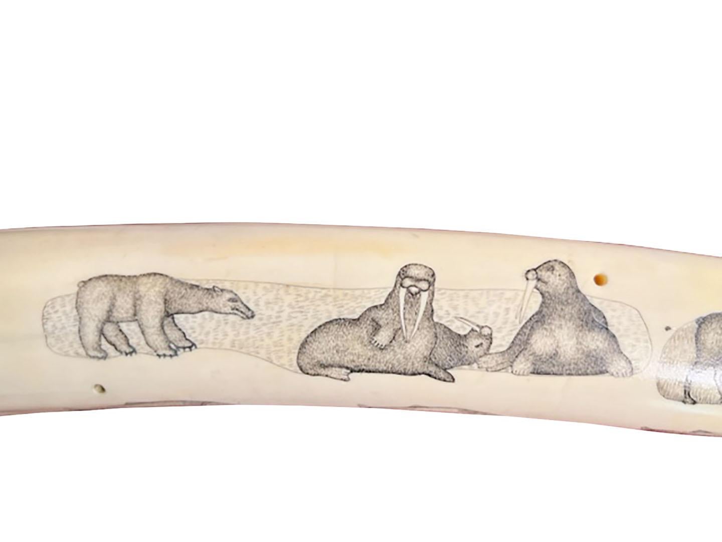 Etched Carved Walrus Tusk Scrimshaw Cribbage Game