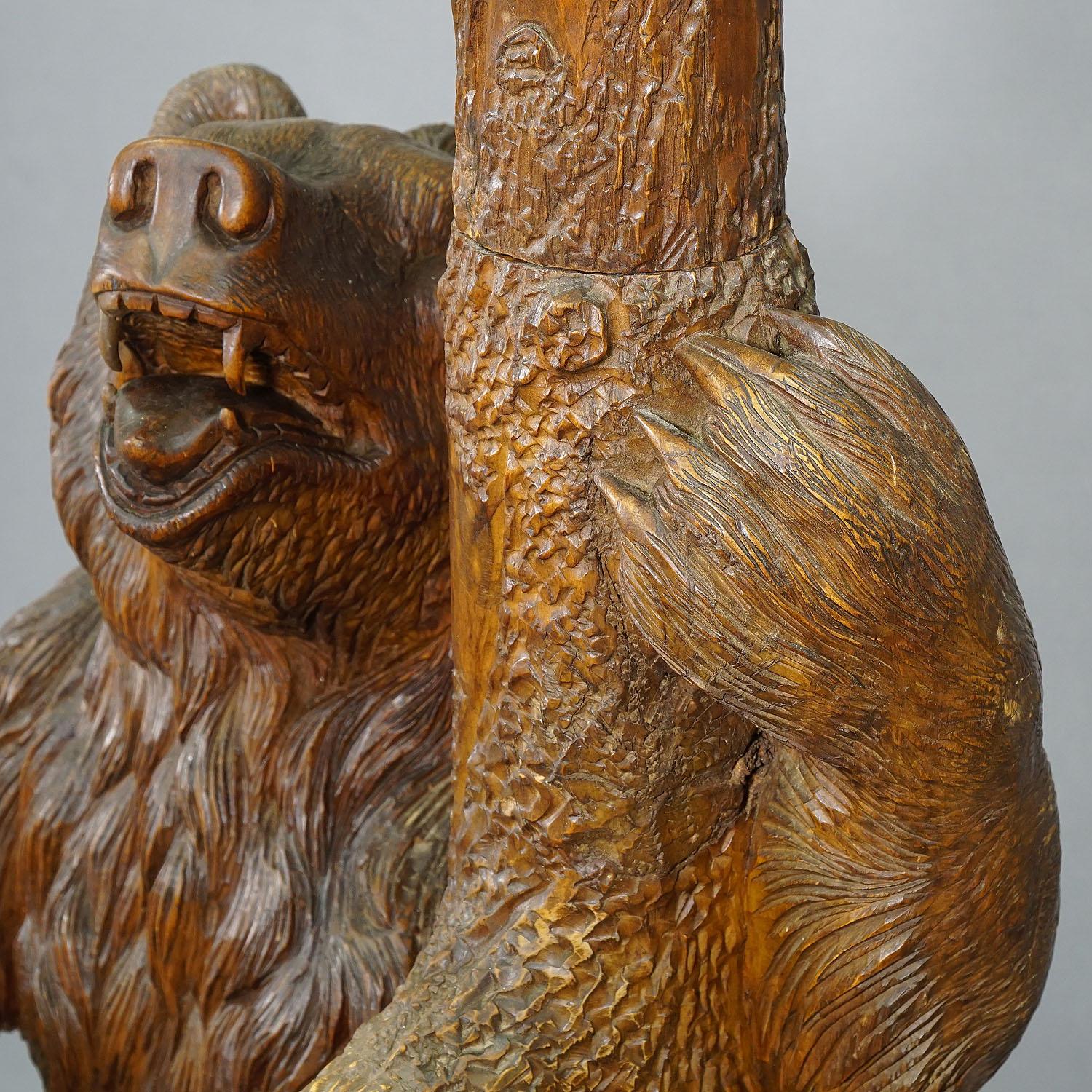 Carved Wood Bear Hallstand, Swiss Brienz, circa 1900 5
