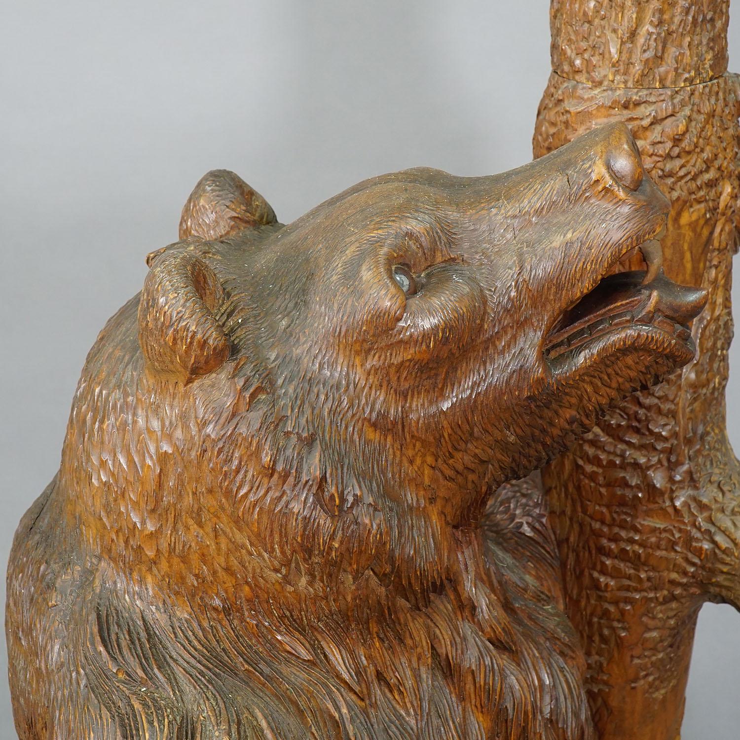 Carved Wood Bear Hallstand, Swiss Brienz, circa 1900 In Good Condition In Berghuelen, DE