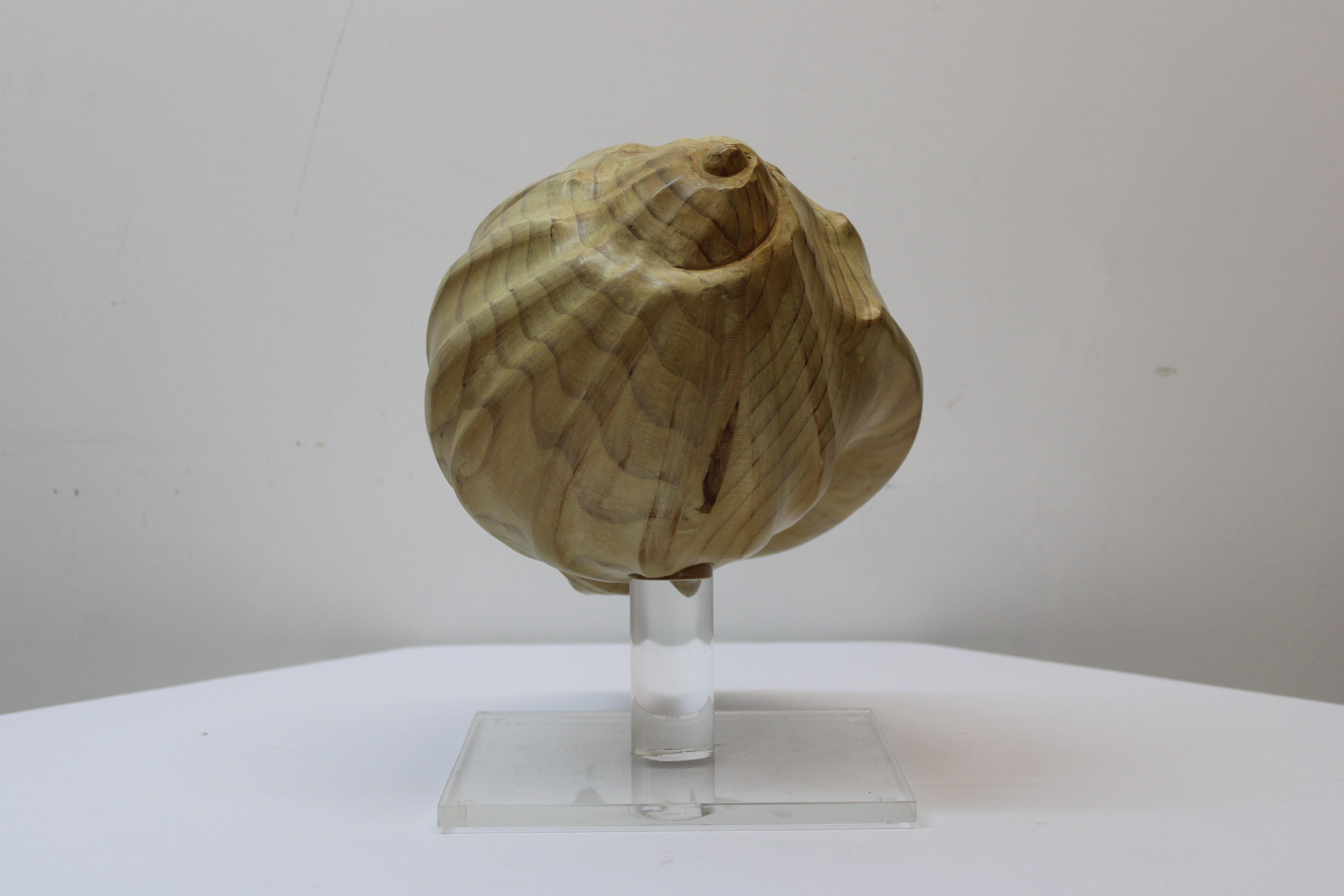 Carved Wood Conch Shell on Lucite Base In Good Condition In San Francisco, CA