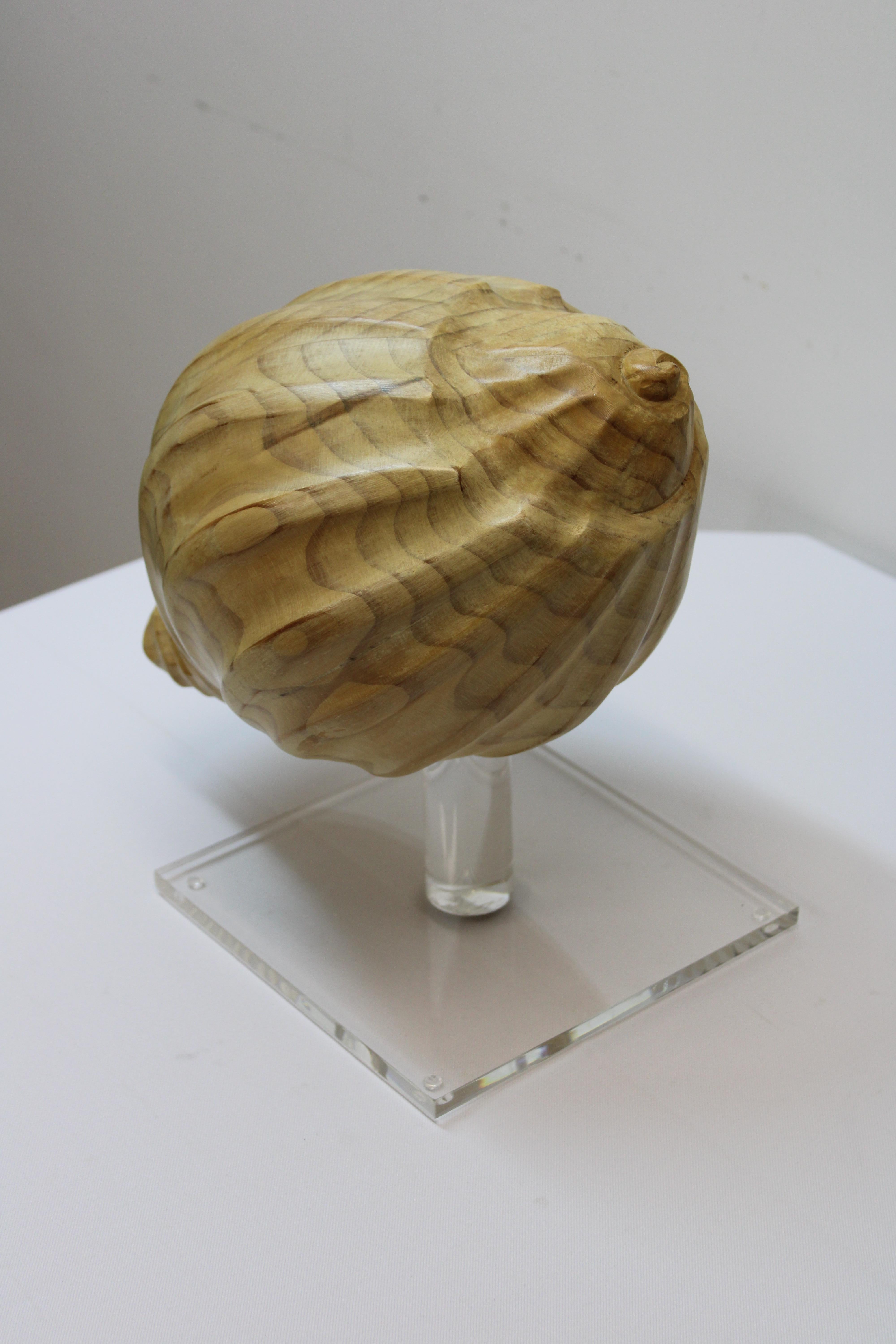 Carved Wood Conch Shell on Lucite Base 2