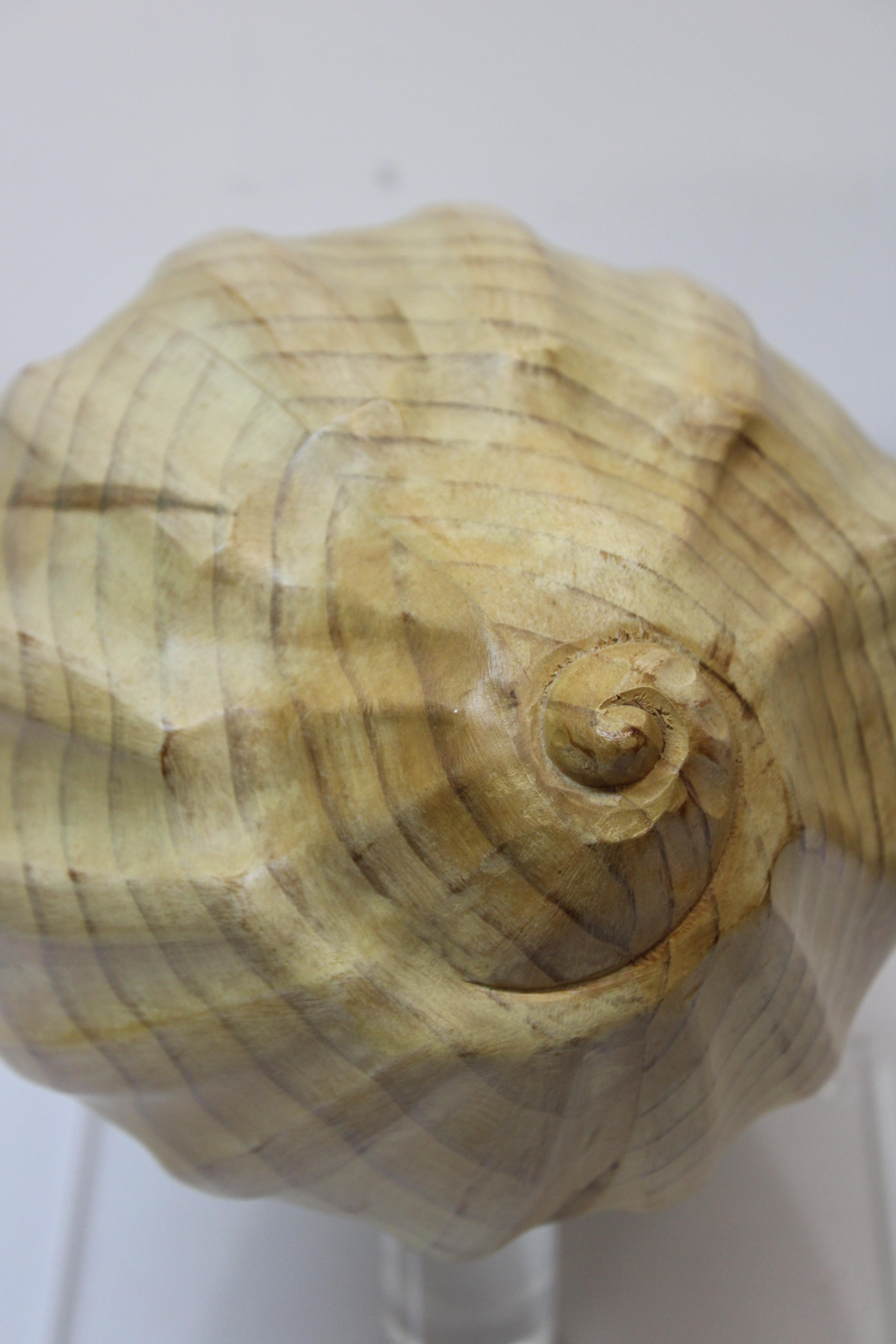 Carved Wood Conch Shell on Lucite Base 3