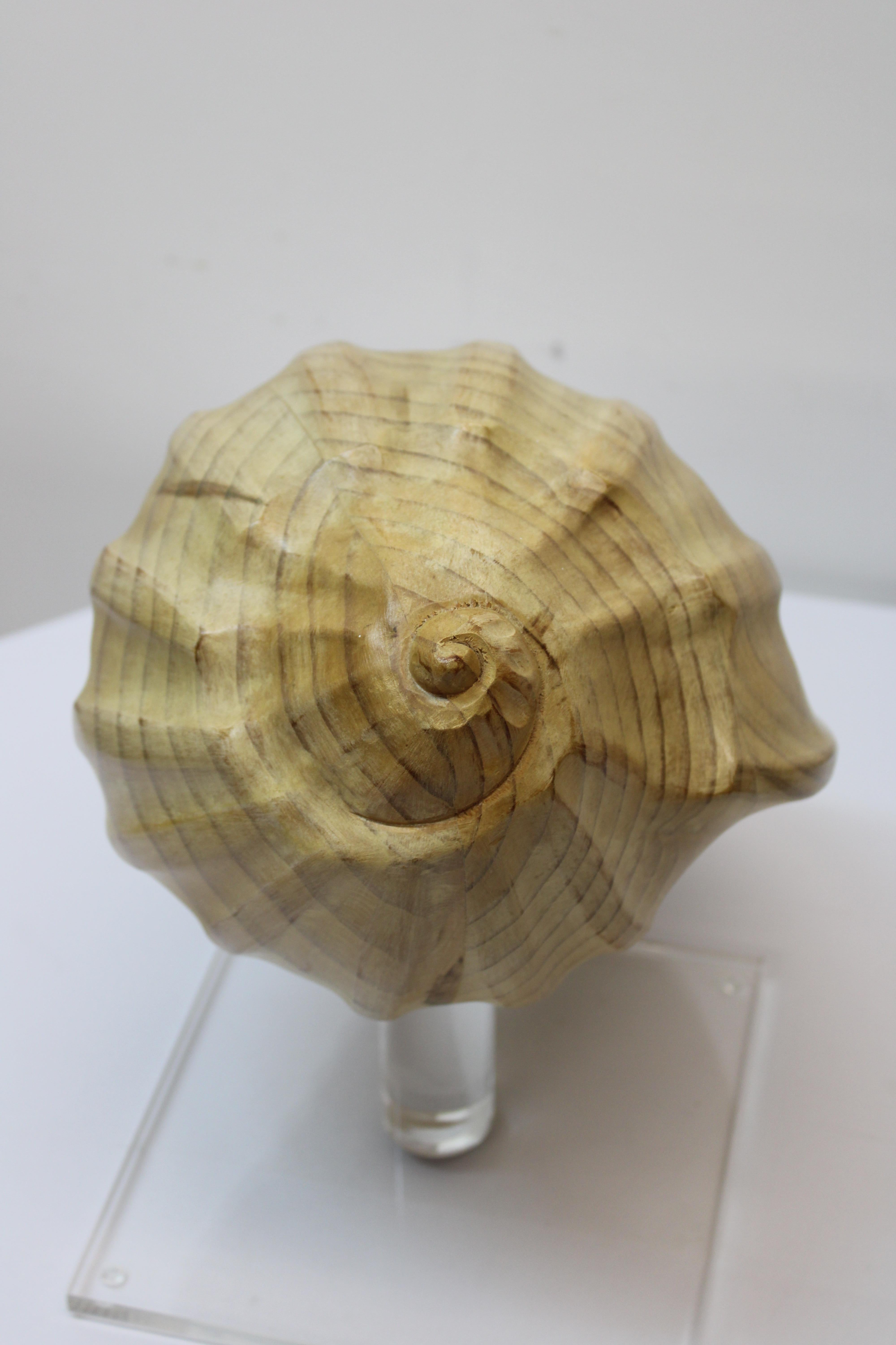 Carved Wood Conch Shell on Lucite Base 4