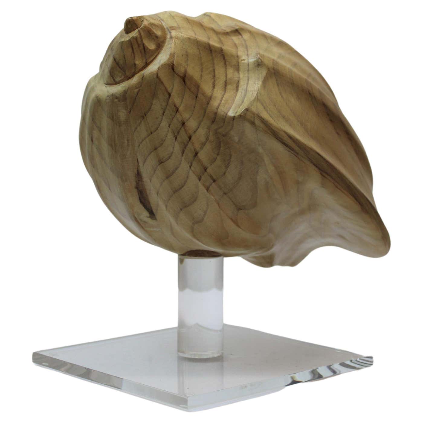 Carved Wood Conch Shell on Lucite Base at 1stDibs