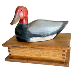 Objetos decorativos