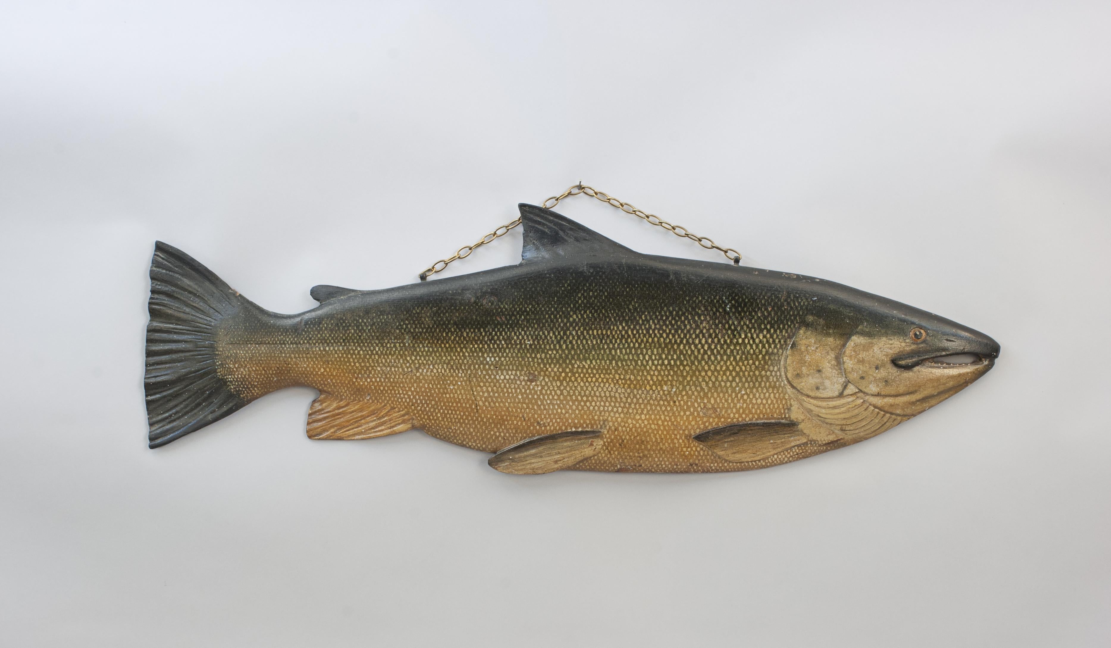 Modèle de poisson trophée saumon
Un beau demi bloc de saumon en bois sculpté avec des dents, une nageoire dorsale, une nageoire adipeuse, une nageoire pectorale, une nageoire pelvienne, une nageoire anale et une nageoire caudale, l'œil étant