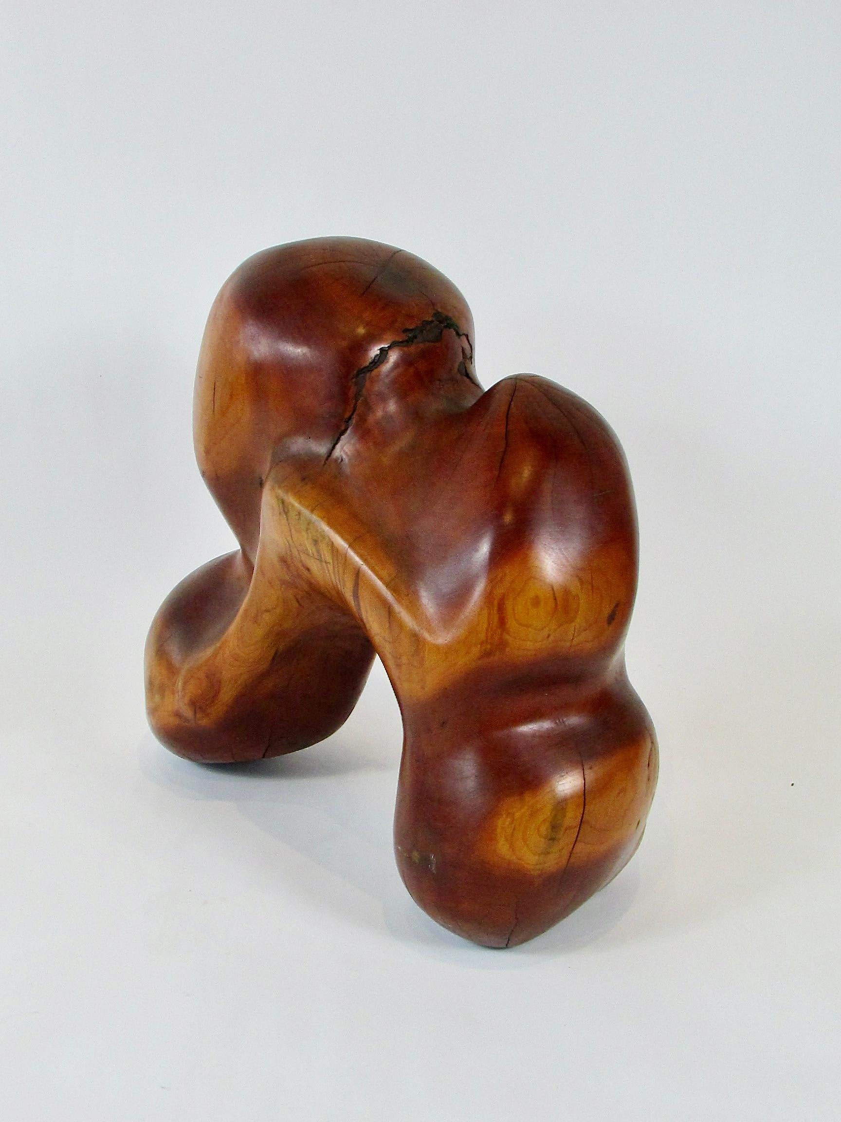 20th Century Carved wood sculpture abstract organic form of a horse  For Sale