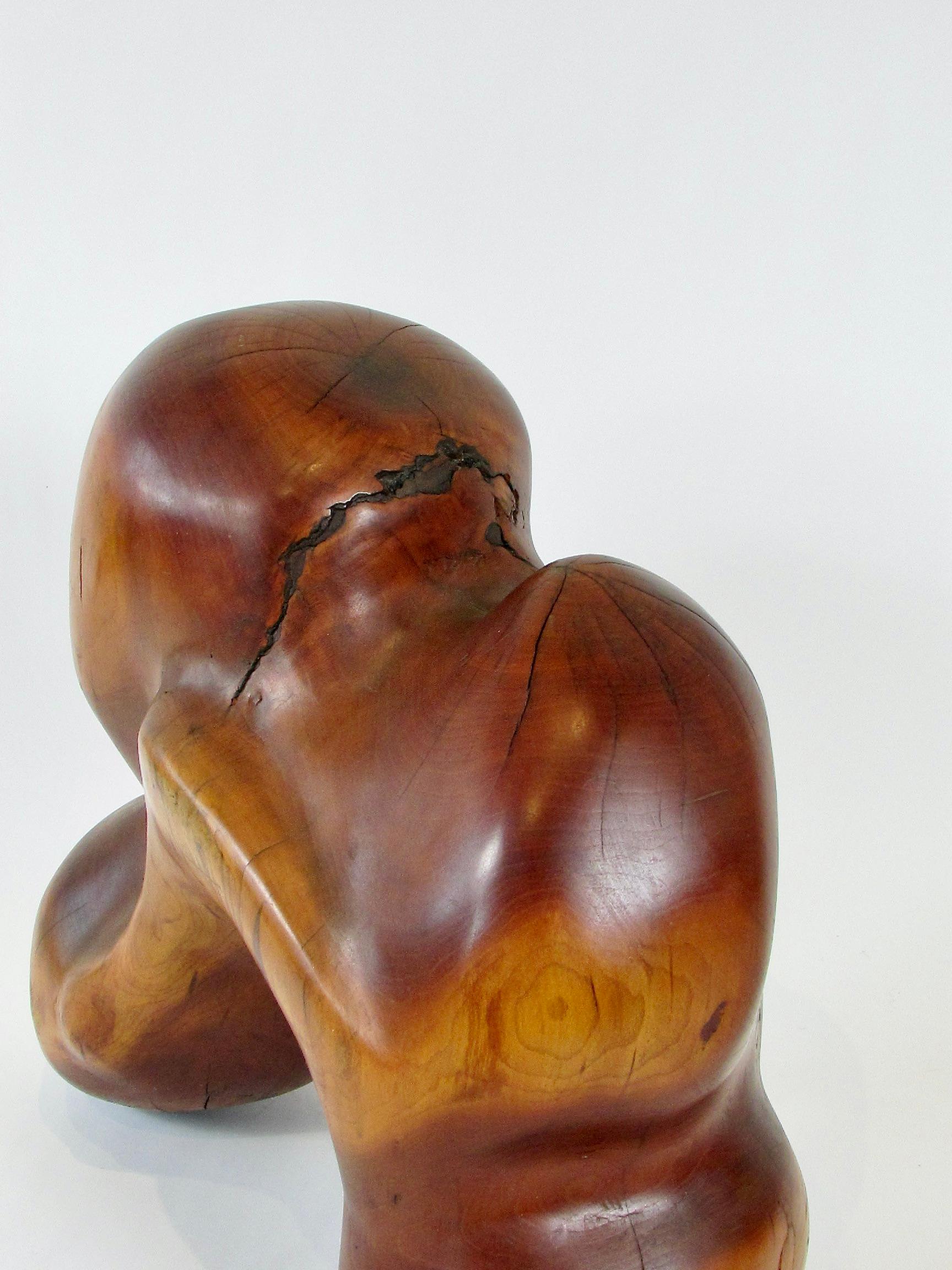 Wood Carved wood sculpture abstract organic form of a horse  For Sale