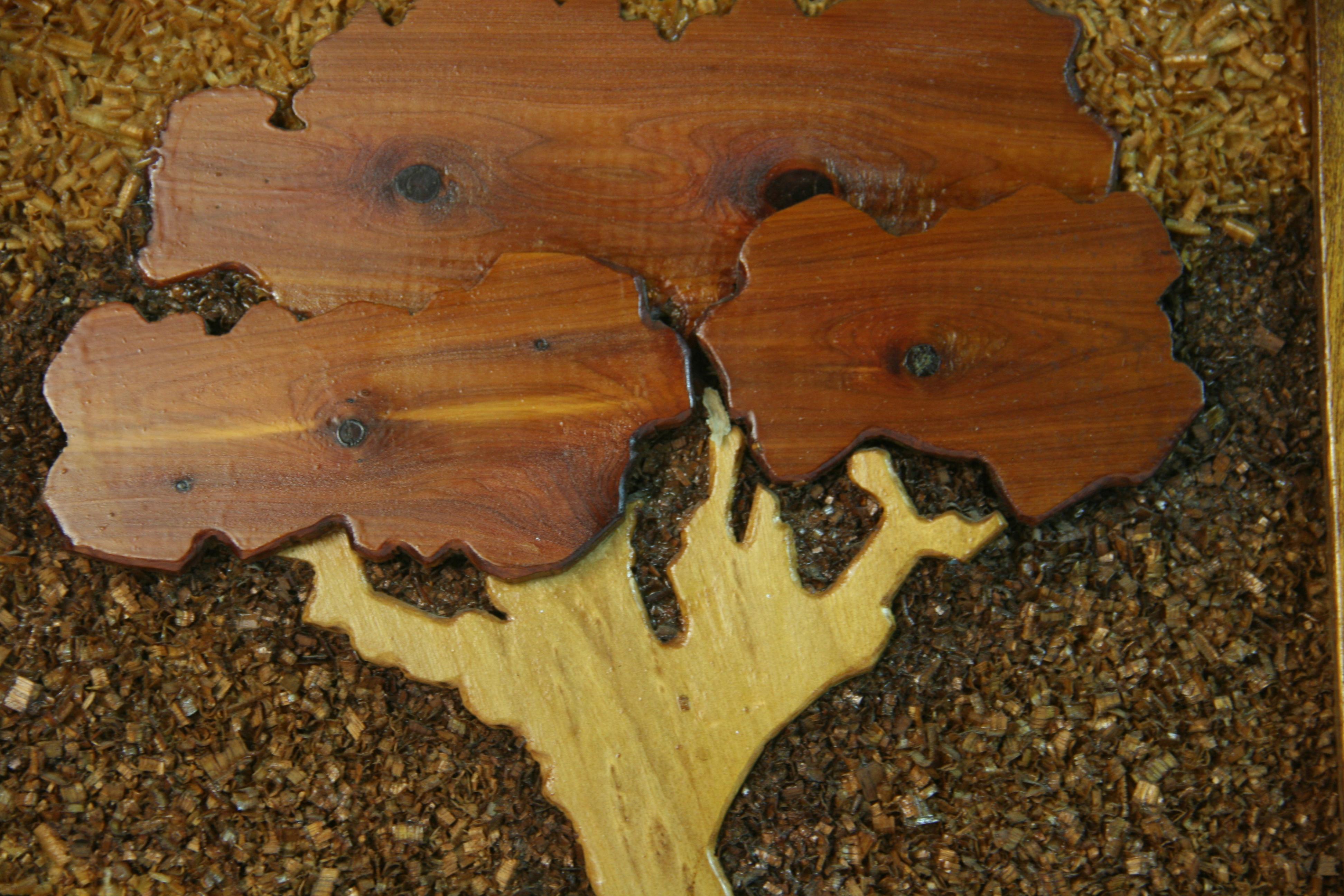 Carved Wood Tree Wall Sculpture 1986 For Sale 1
