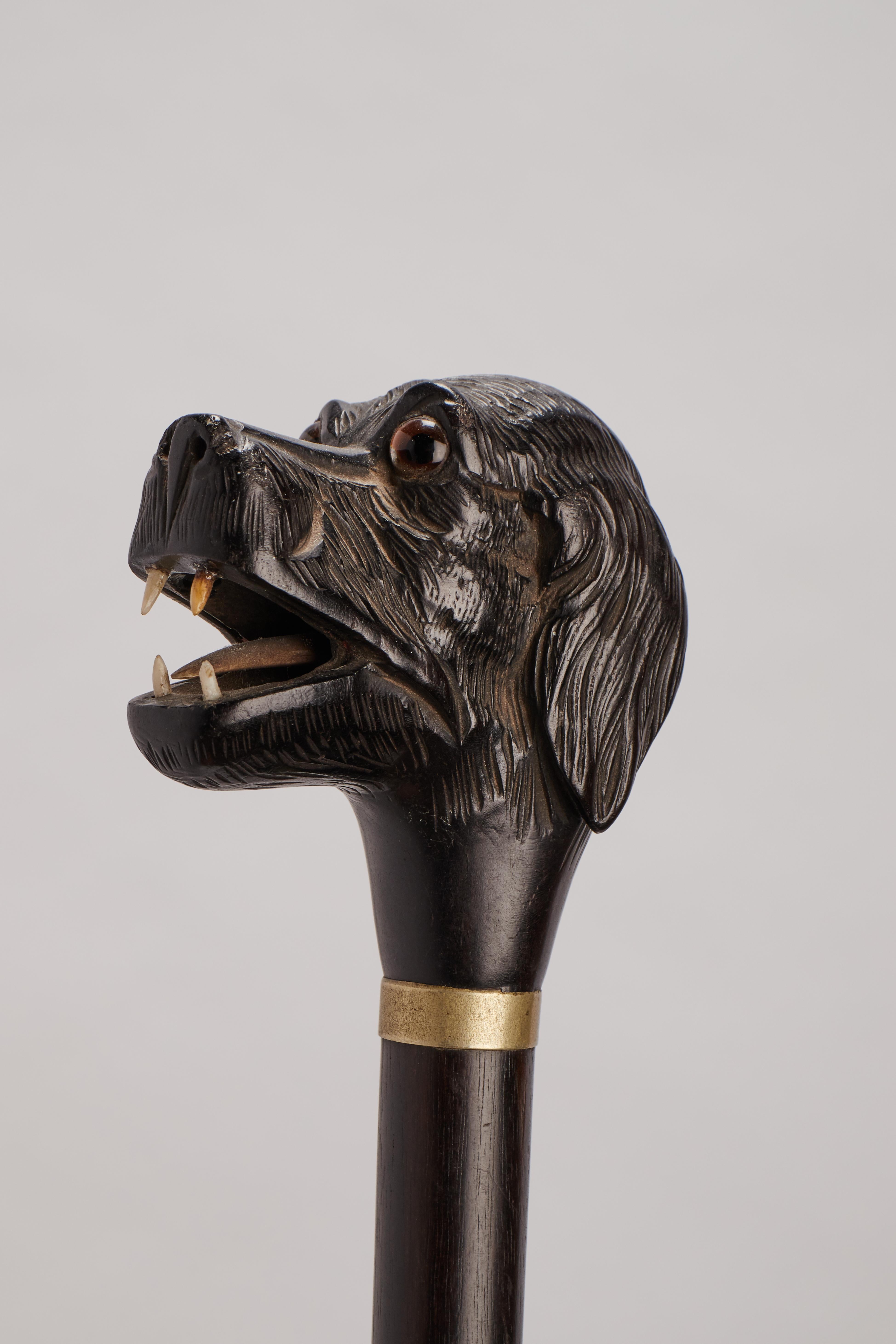 Late 19th Century Carved Wood Walking Stick,  France 1890. 