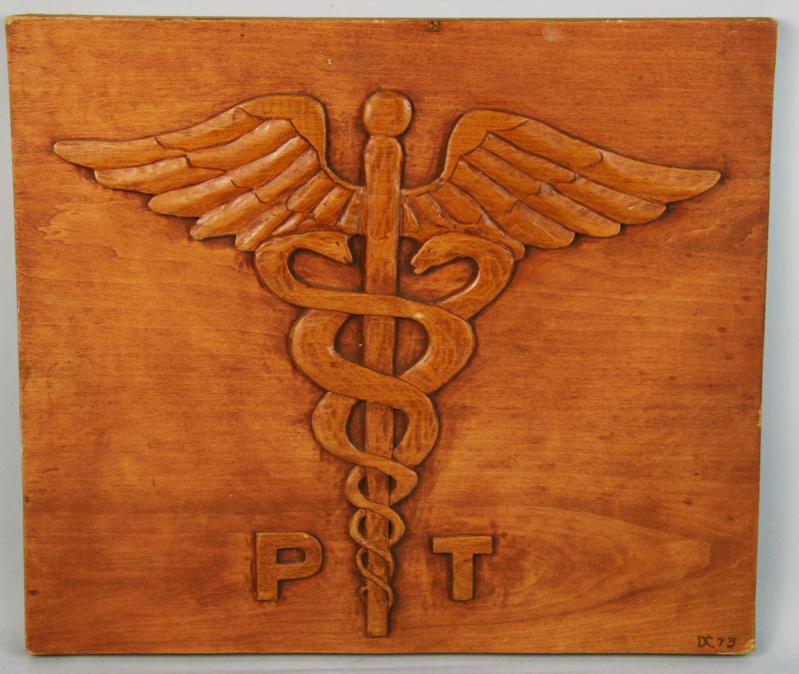 3-765 carved wood medical plaque.