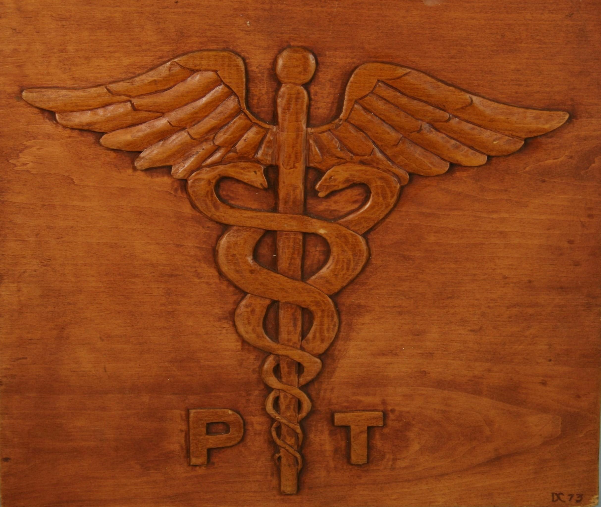 Geschnitzte Holz-Wandtafel, Medizinisches Symbol im Zustand „Gut“ im Angebot in Douglas Manor, NY