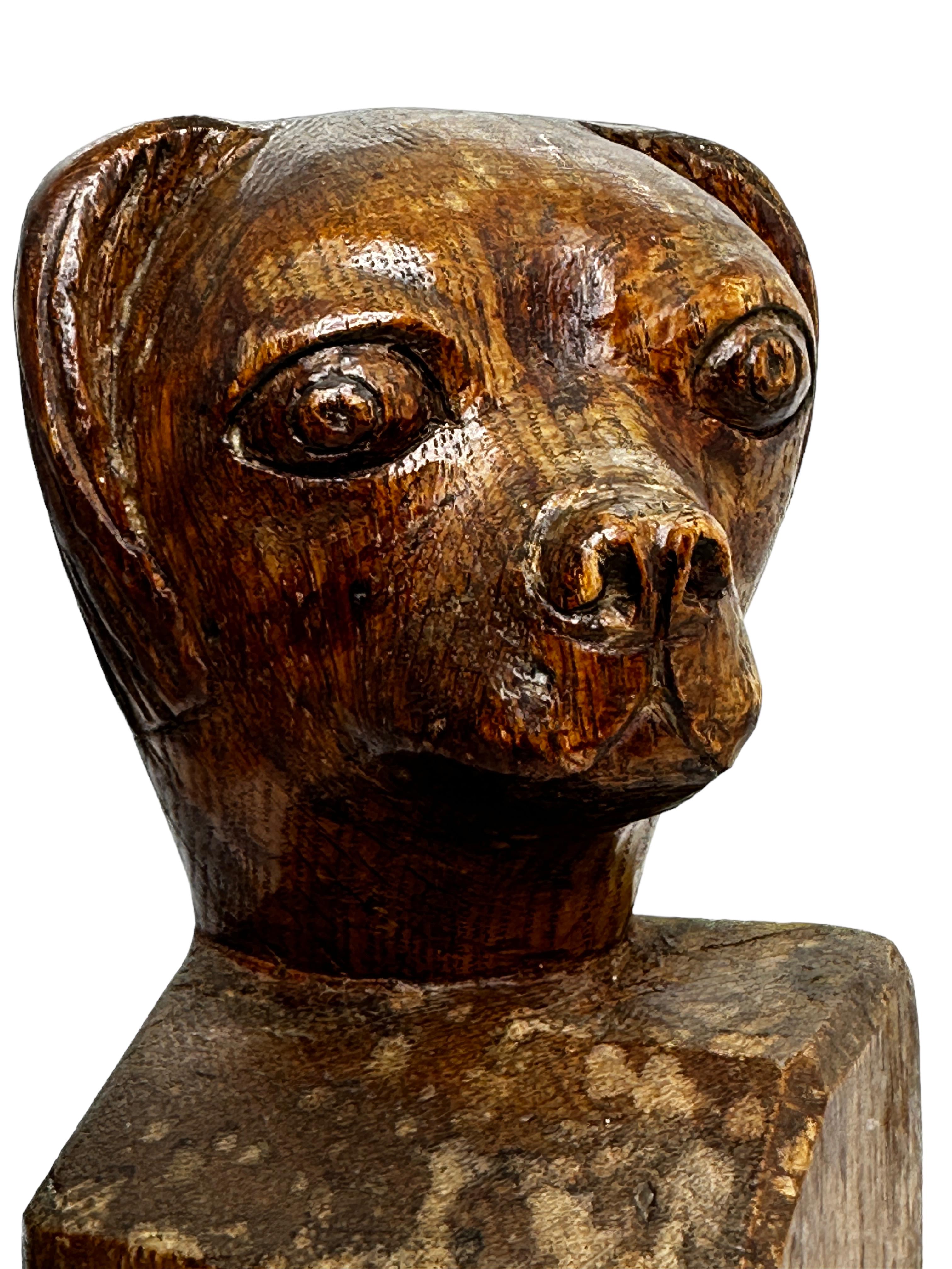 Busto Escultura Cabeza de Perro de Madera Tallada, Vintage Austria, circa 1910s 4