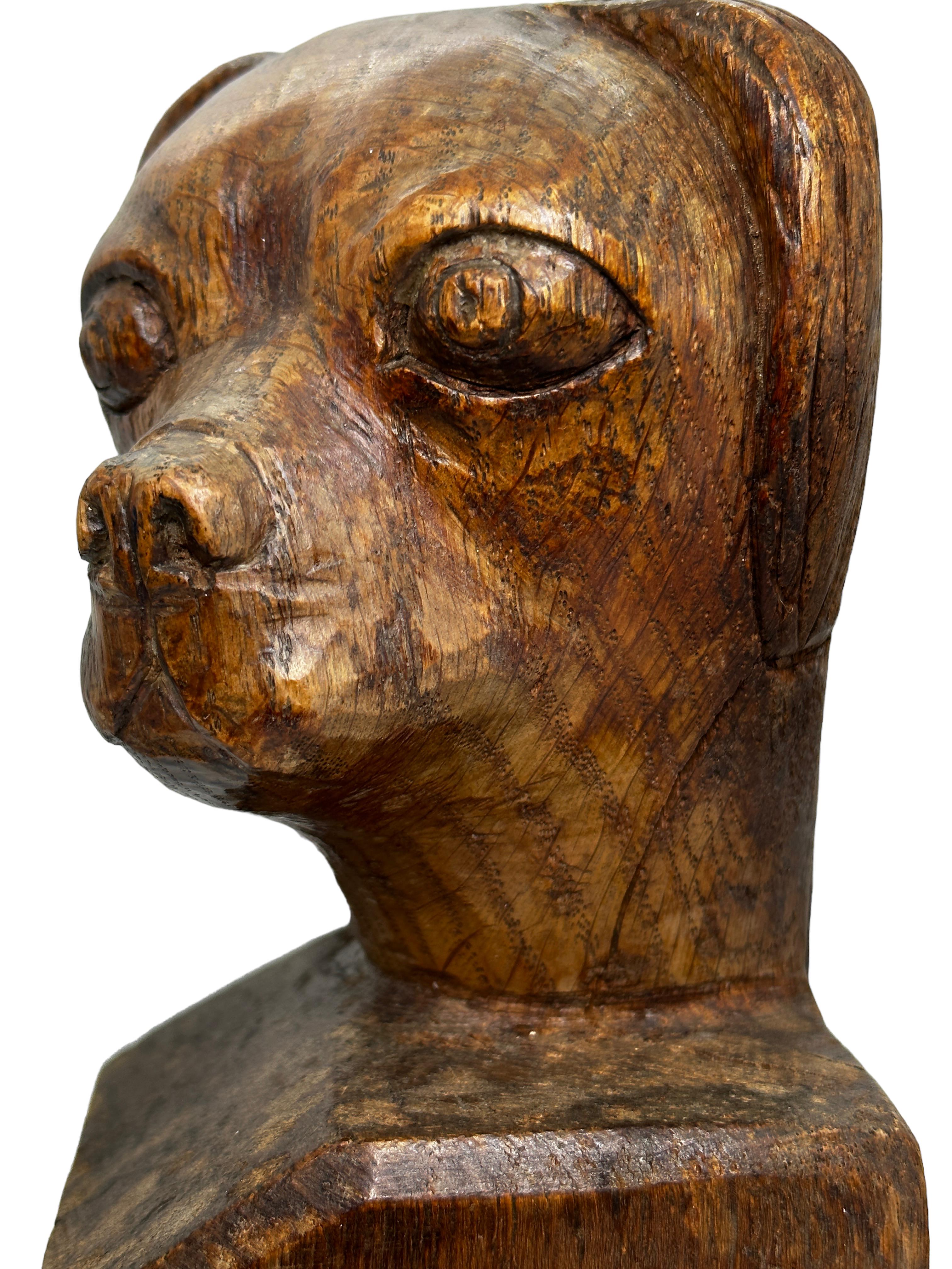 Busto Escultura Cabeza de Perro de Madera Tallada, Vintage Austria, circa 1910s 3