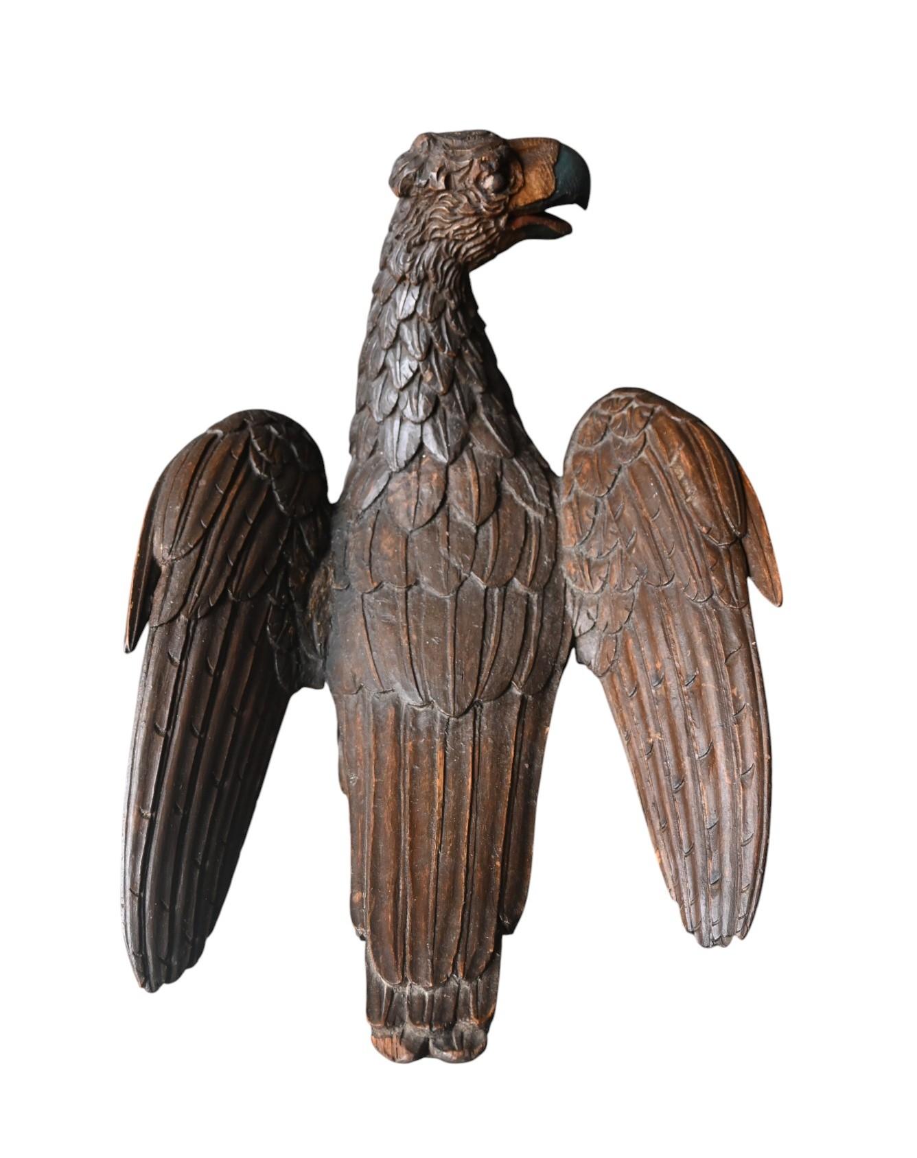 Arte popolare Aquila in legno intagliato con artigli in ferro - XIX secolo in vendita