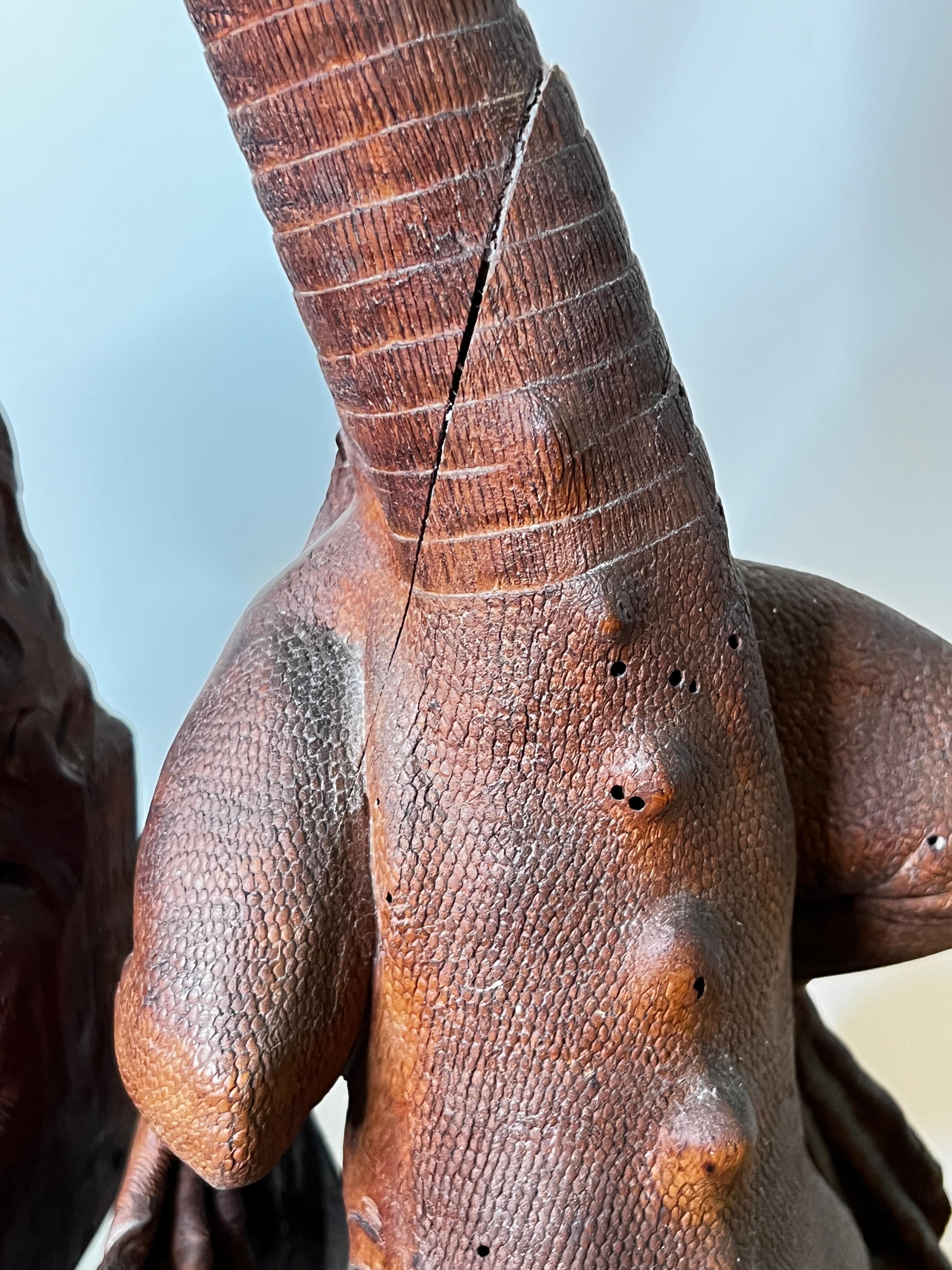 Carved Wooden Iguana Lizard Sculptures 9