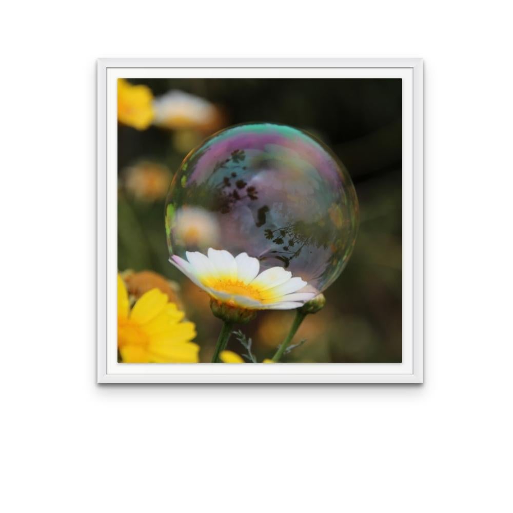 Bubble 14, Colourful Nature Inspired Digital Photographic Print Edition on Paper - Black Color Photograph by Cary Knight