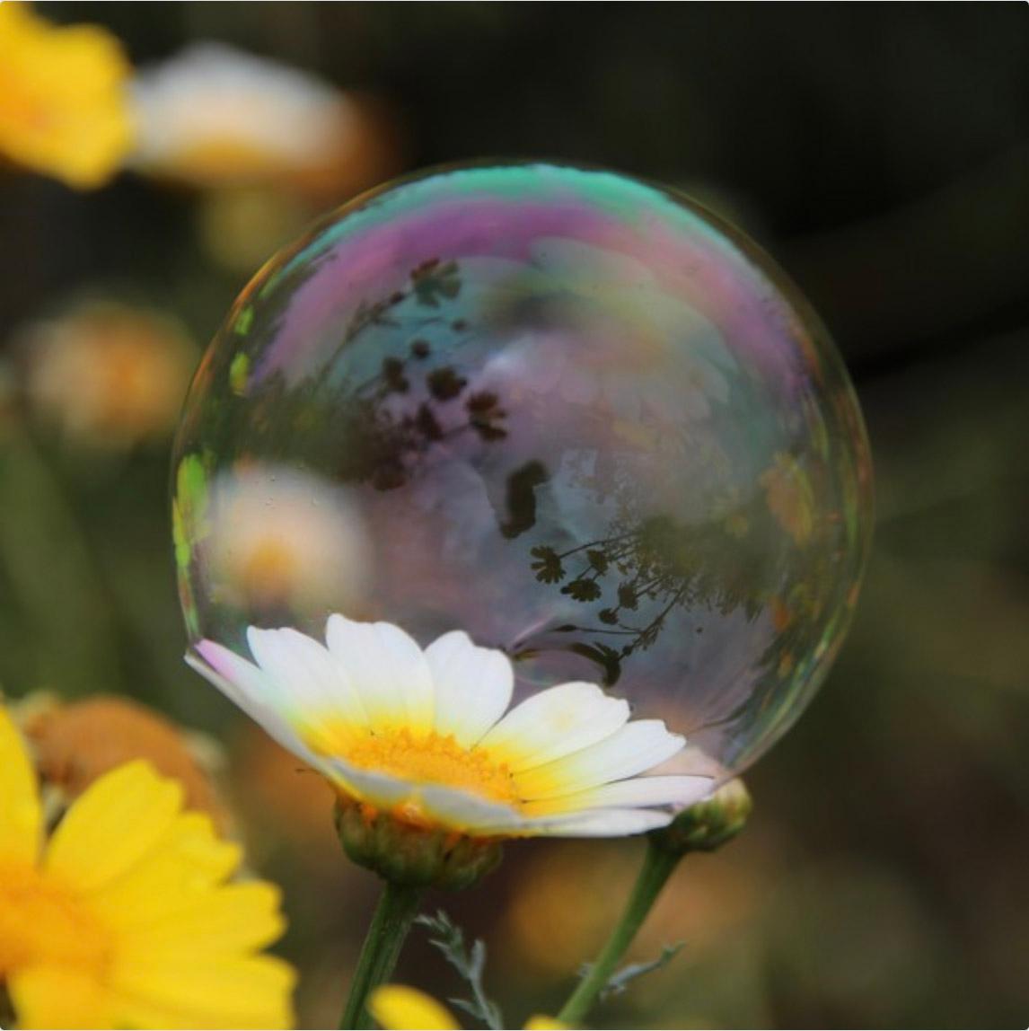 Cary Knight Color Photograph - Bubble 14, Colourful Nature Inspired Digital Photographic Print Edition on Paper