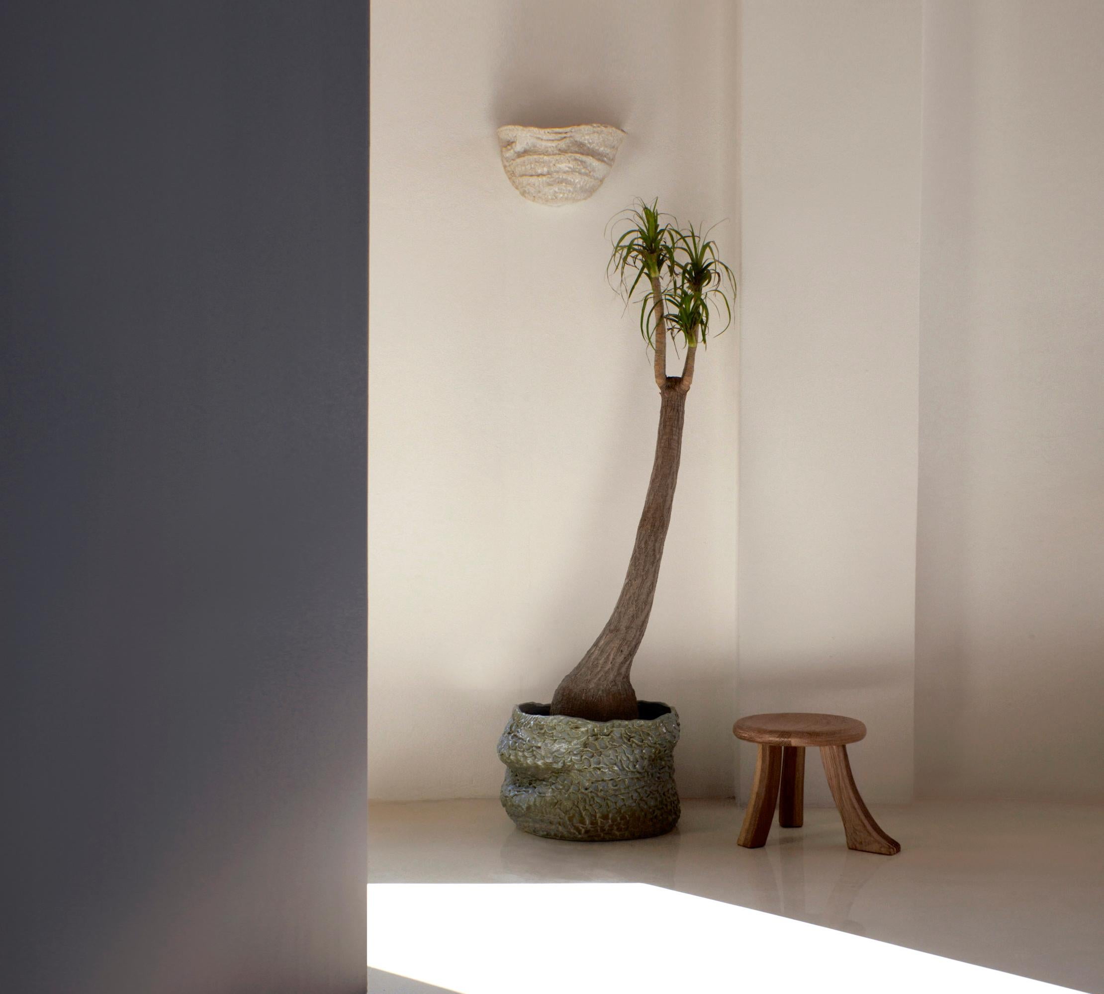 Applique Casa n° 6 en blanc
Conçu par le project 213A en 2023

Lampe artisanale en céramique avec finition texturée, fabriquée dans l'atelier de céramique de Project 213A.
Chaque pièce est unique en raison de sa nature artisanale, les formes et les