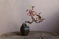 Airelle japonaise en cascade par Yumiko Kuwahata / Bonsaïs / wabi-sabi
