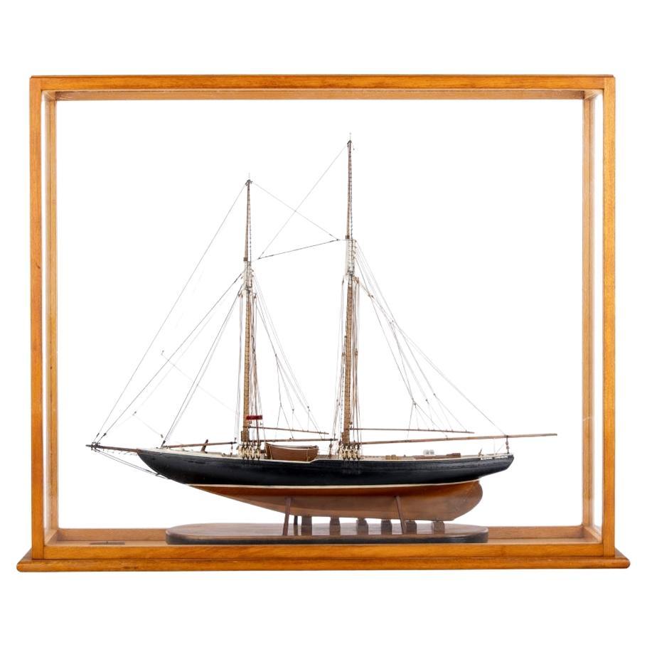 Cased Ship Model of the Fishing Schooner "Bluenose“ Nova Scotia For Sale