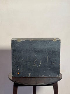 Cased Taxidermy Shoveler Duck