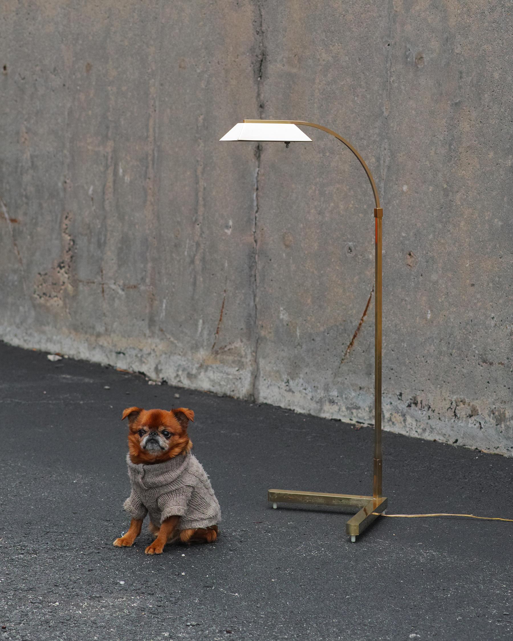 Casella Brass Floor Lamp For Sale 7