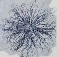 Gussie and Connor 2, Original Signed Monoprint