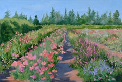 Flower Field