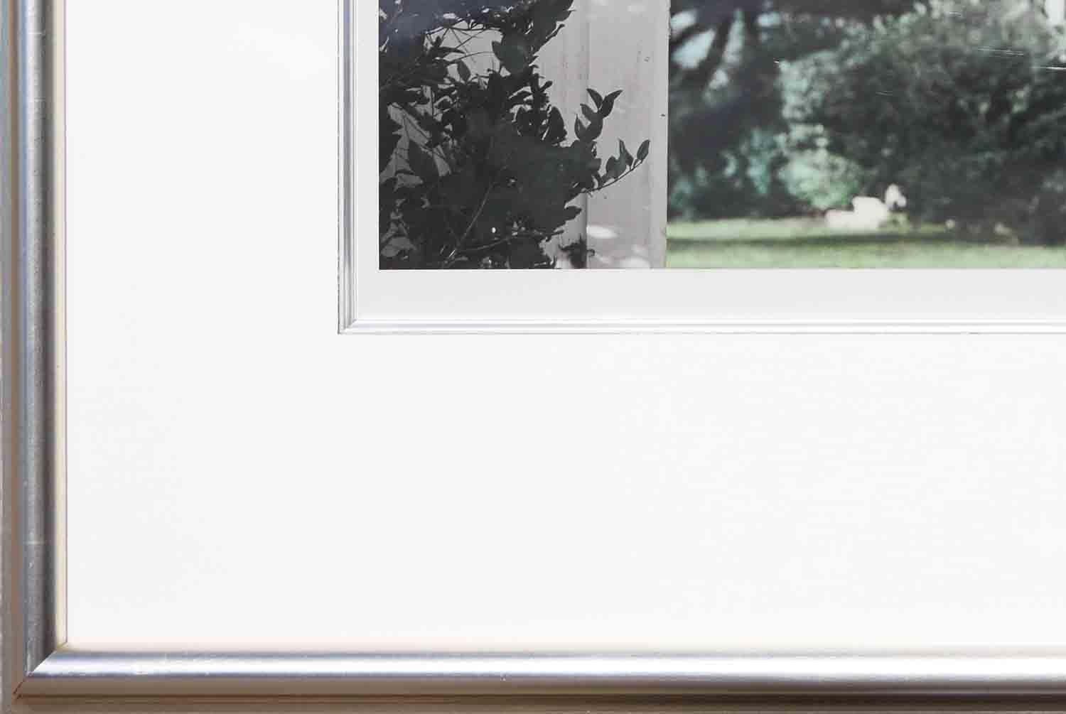 Kontrastreiche zeitgenössische Fotografie des Fotografen Casey Williams aus Houston, TX. Dieses Foto zeigt einen Schnappschuss einer Szene beim Betreten des Hofes eines Grundstücks. Die Farben auf den Fotos lassen vermuten, dass sie entweder in der