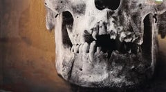 Scull
