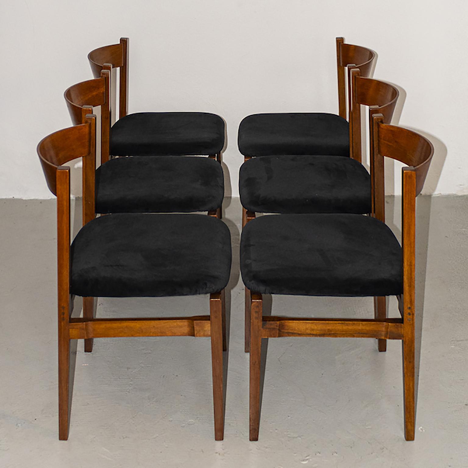 Velvet Set of six Cassina 101 chairs by Gianfranco Frattini, wood, black velvet For Sale