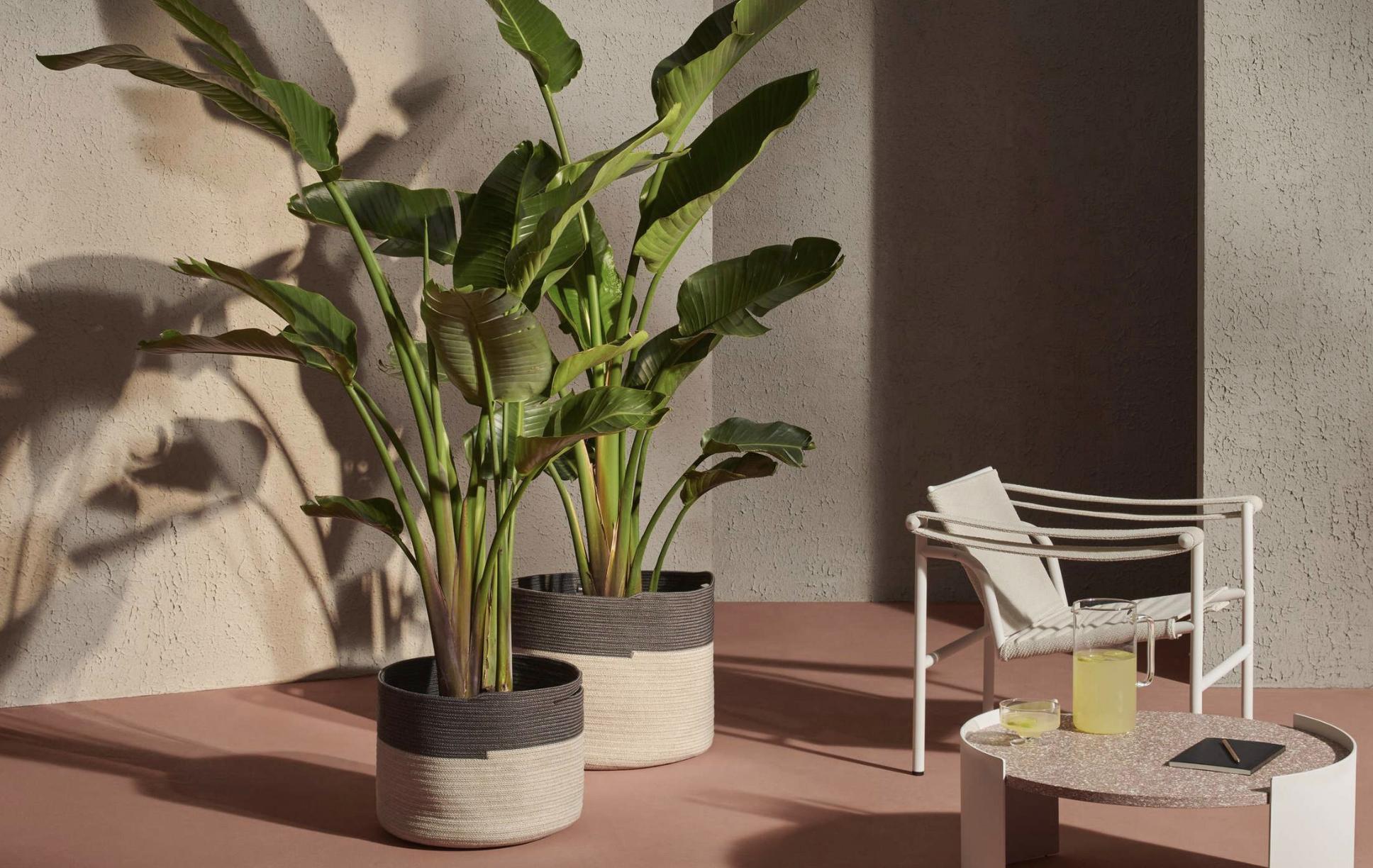 Cassina Set of Two Podor Outdoor Accessories For Sale 1