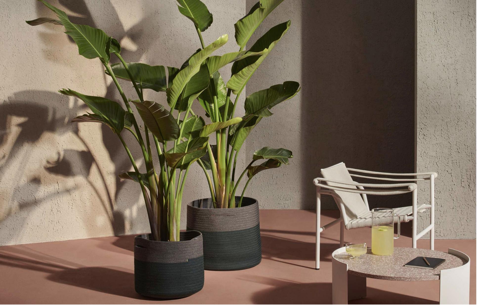 Cassina Set of Two Podor Outdoor Accessories For Sale 1