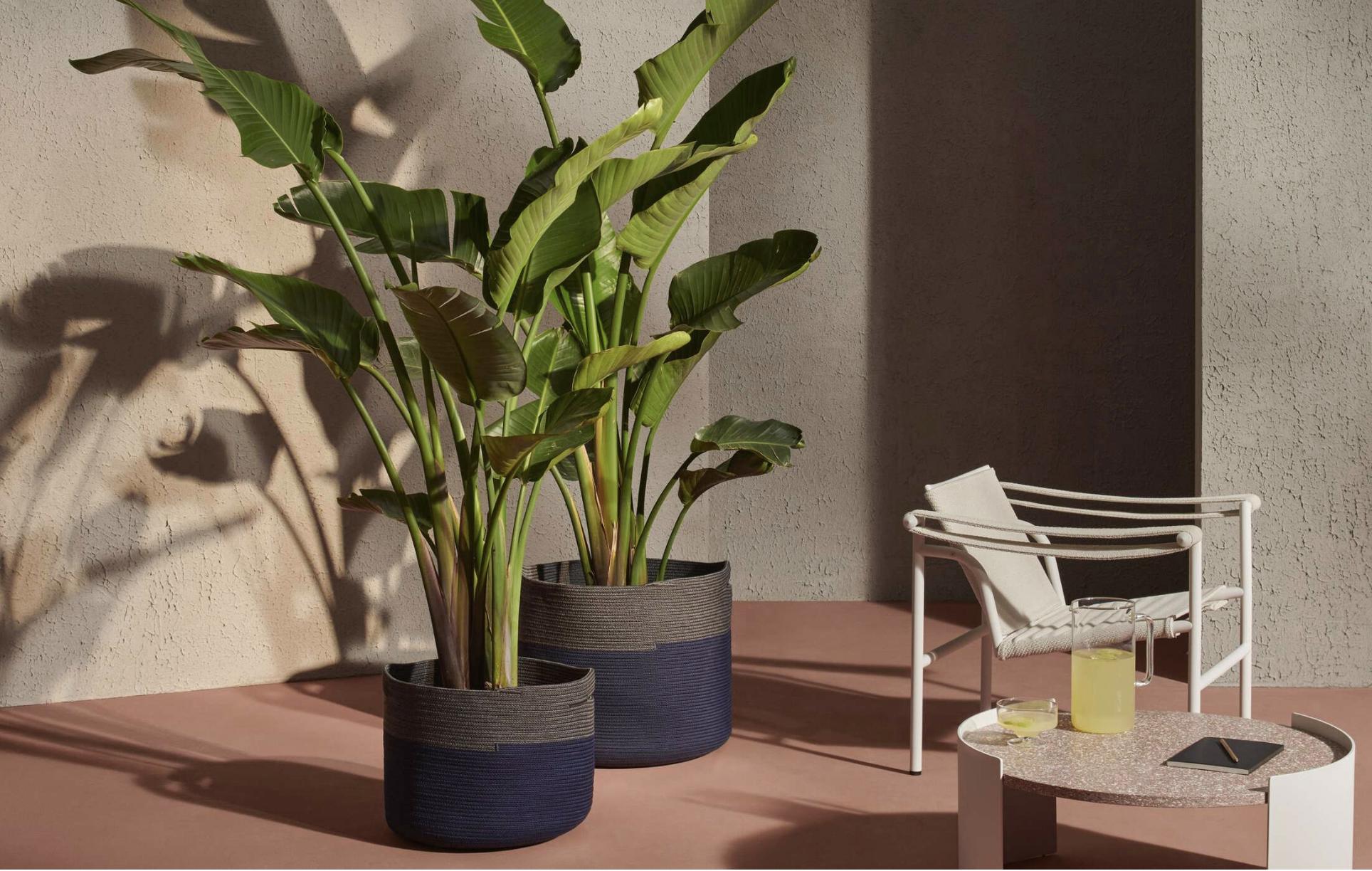 Juego de dos accesorios de exterior Cassina Podor en venta 1