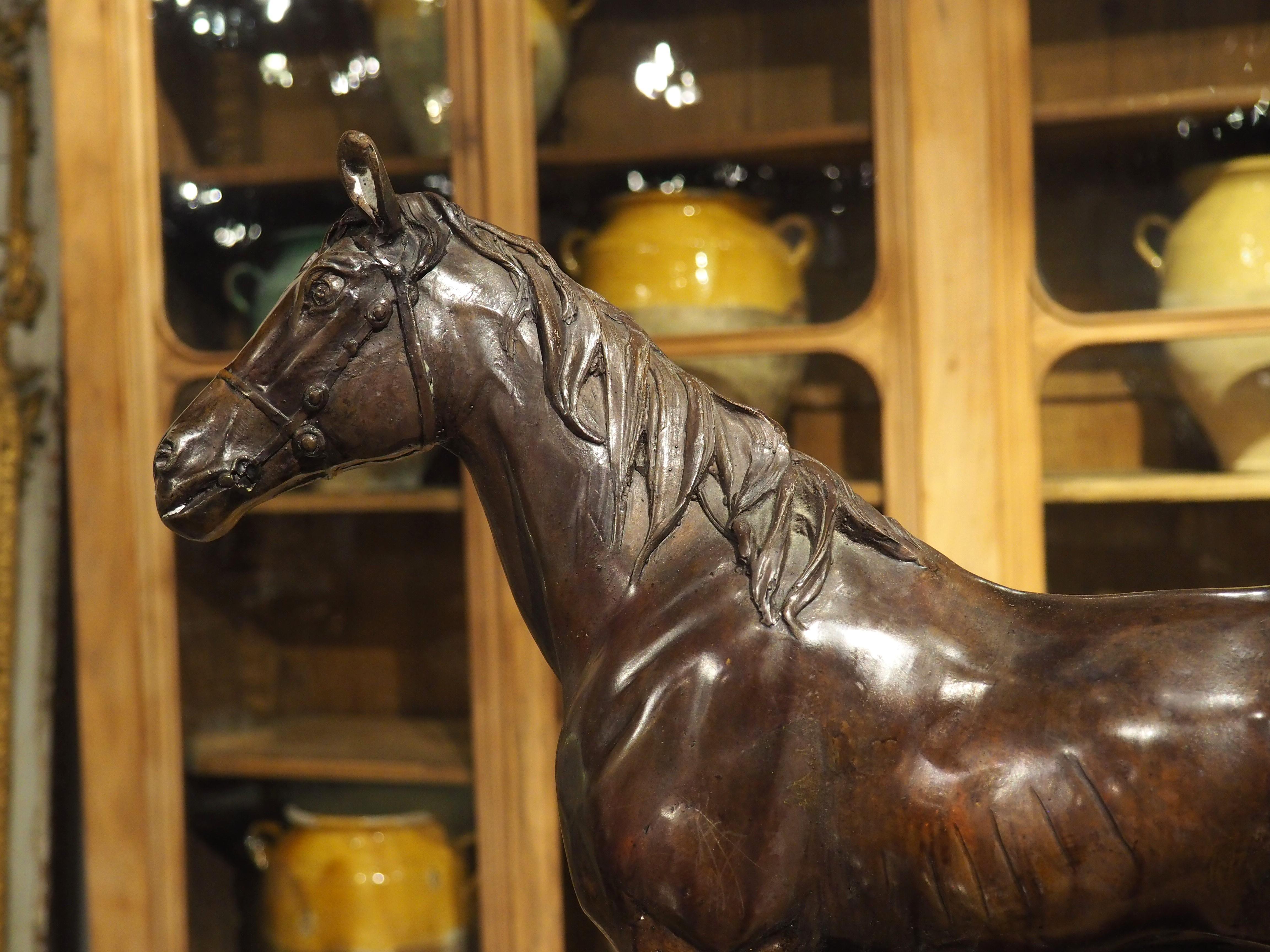 European Cast and Patinated Bronze Sculpture of a Horse on Pedestal, H-29 1/4, 20th C. For Sale