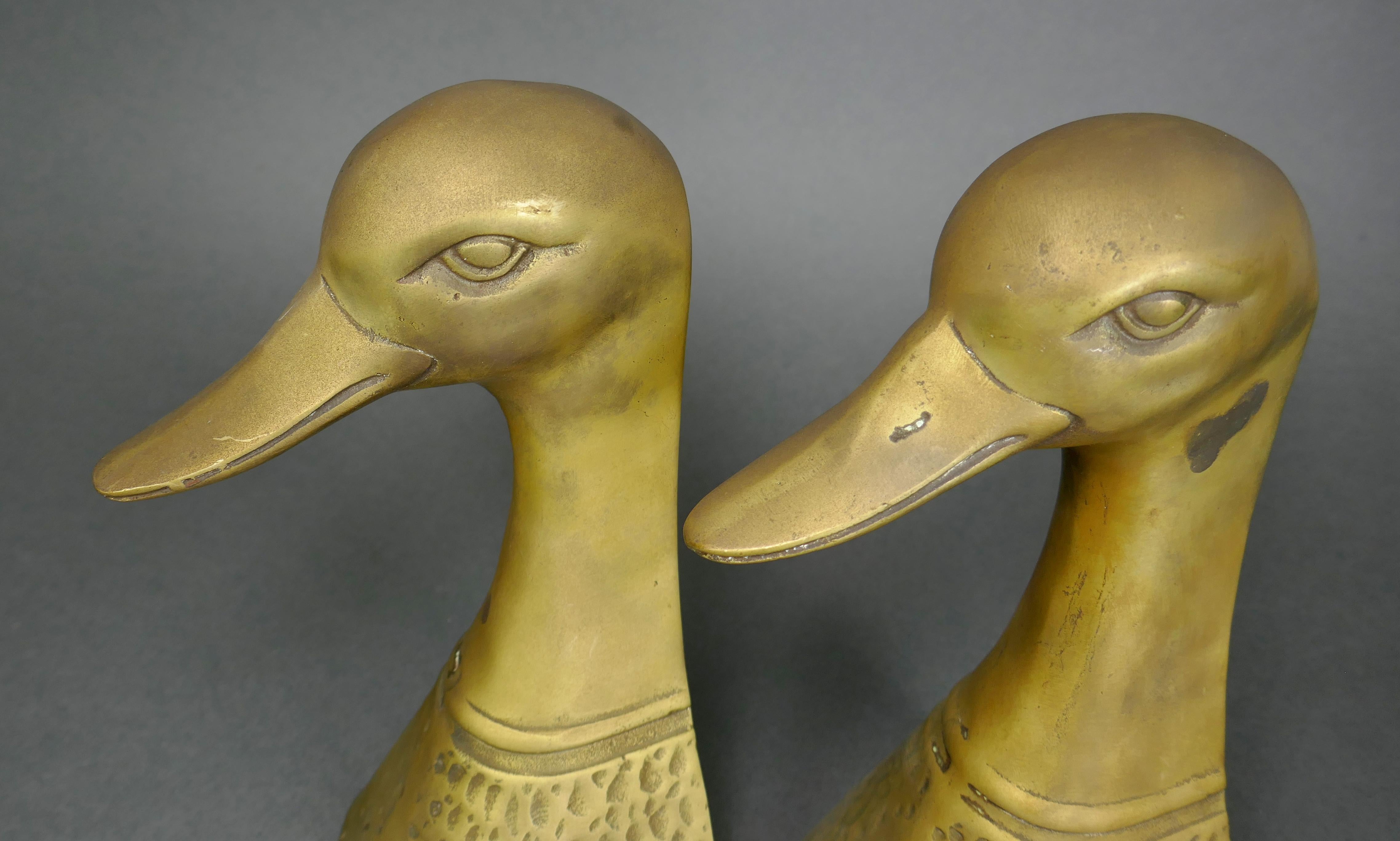 Mid-Century Modern Cast Brass Tall Duck Head Waterfowl Bookends, Korea 1970s For Sale