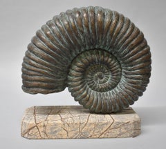 Cast Bronze Nautilus Shell Sculpture on Marble by Morgan Hill