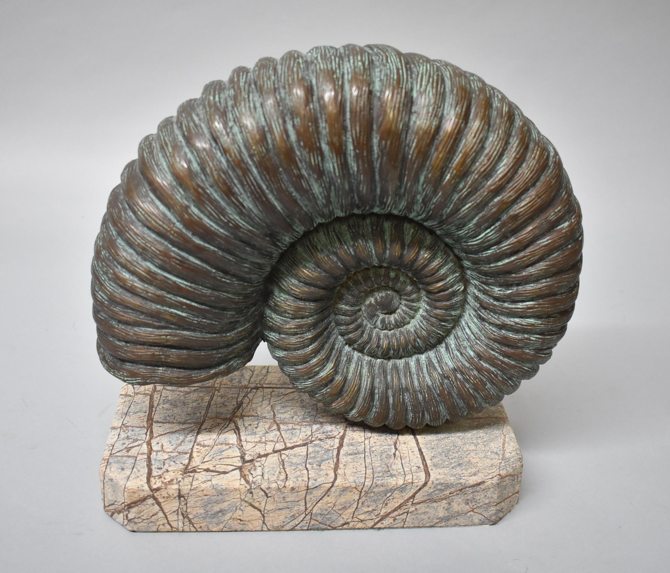 shell sculptures