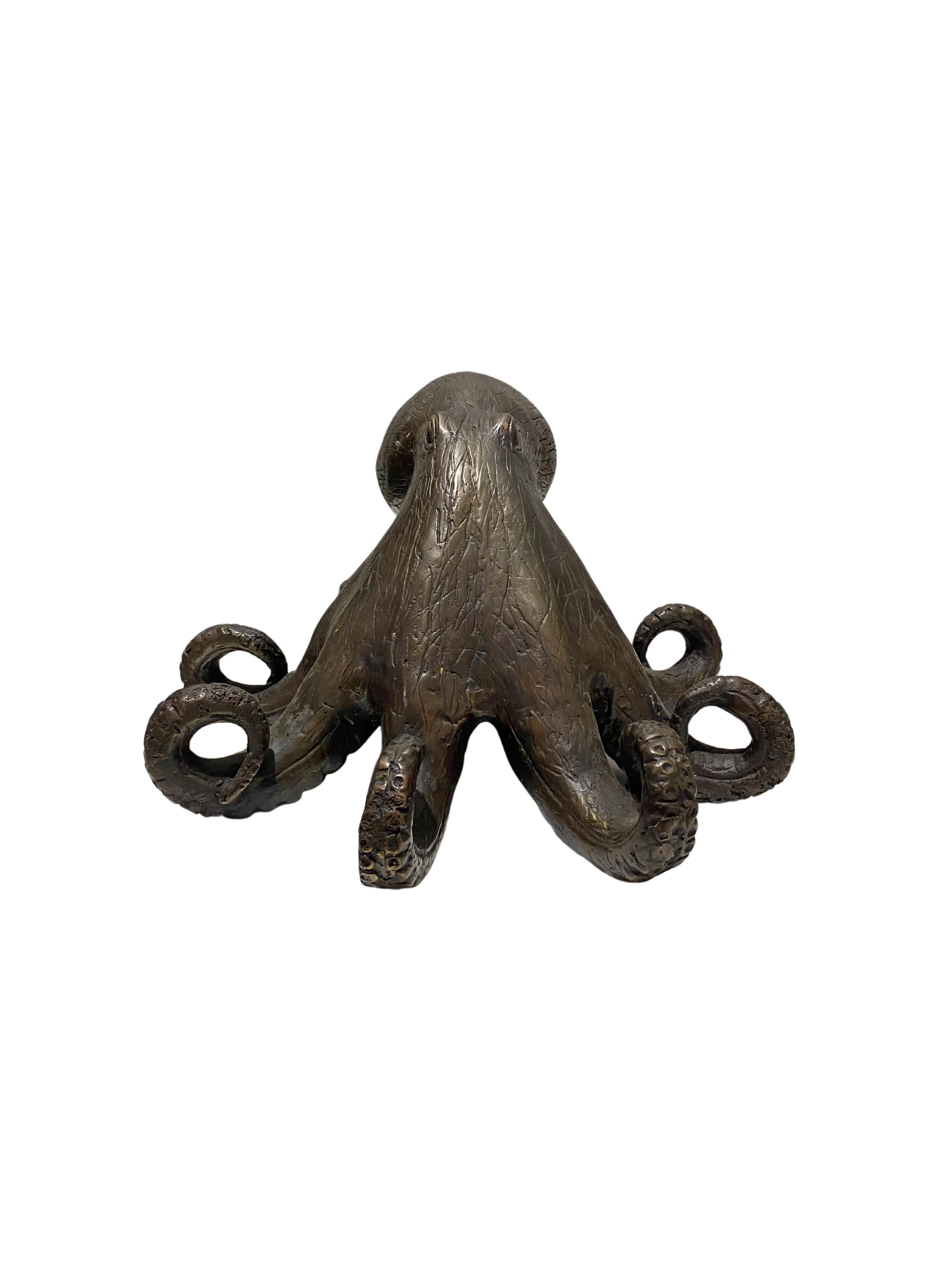 A wonderful example of a hollow-cast bronze octopus. This piece features wonderful detail and resemblance to a real specimen. An exotic piece certain to invoke conversation. Suitable for both indoor or outdoor spaces.
 