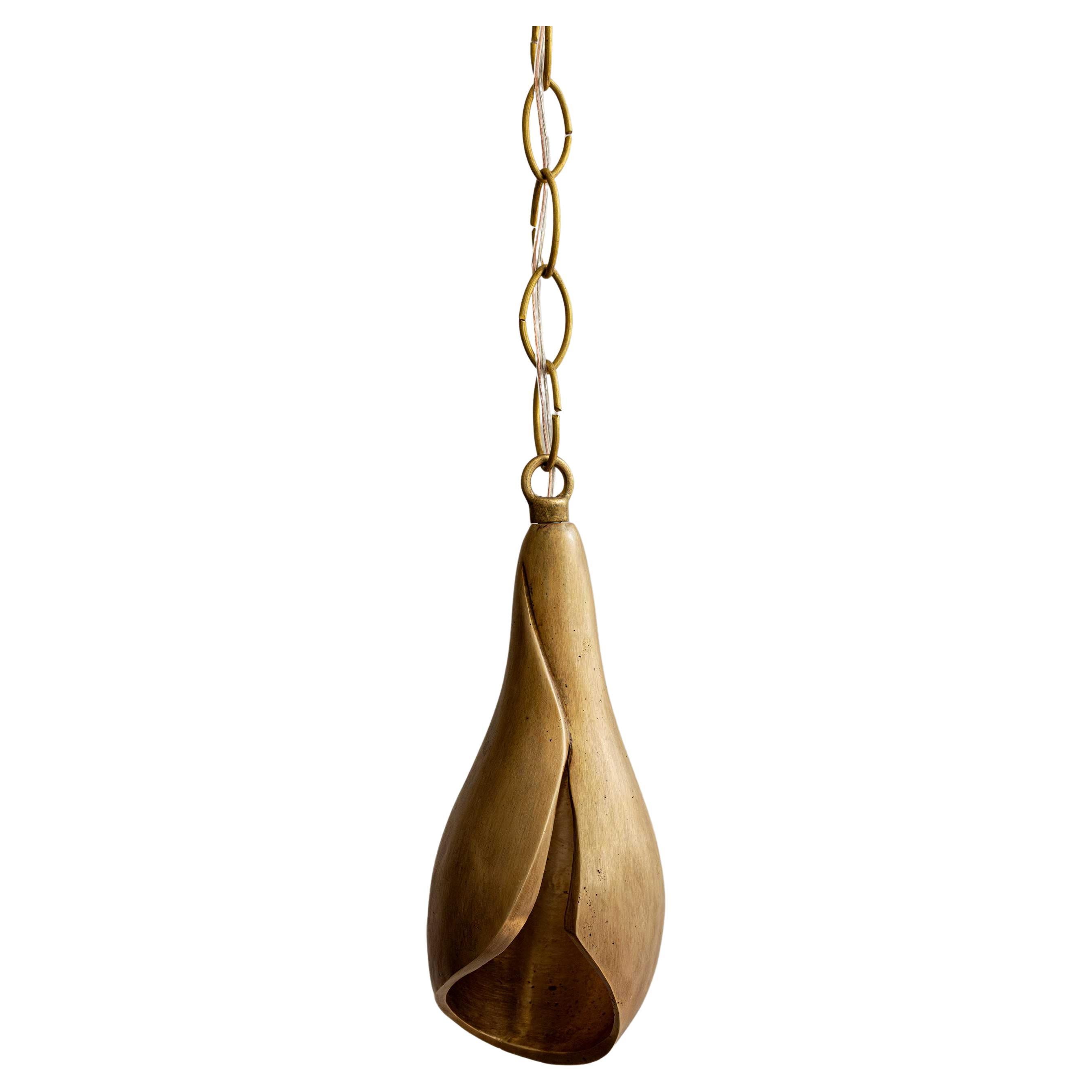L'Aviva Home Chandeliers and Pendants
