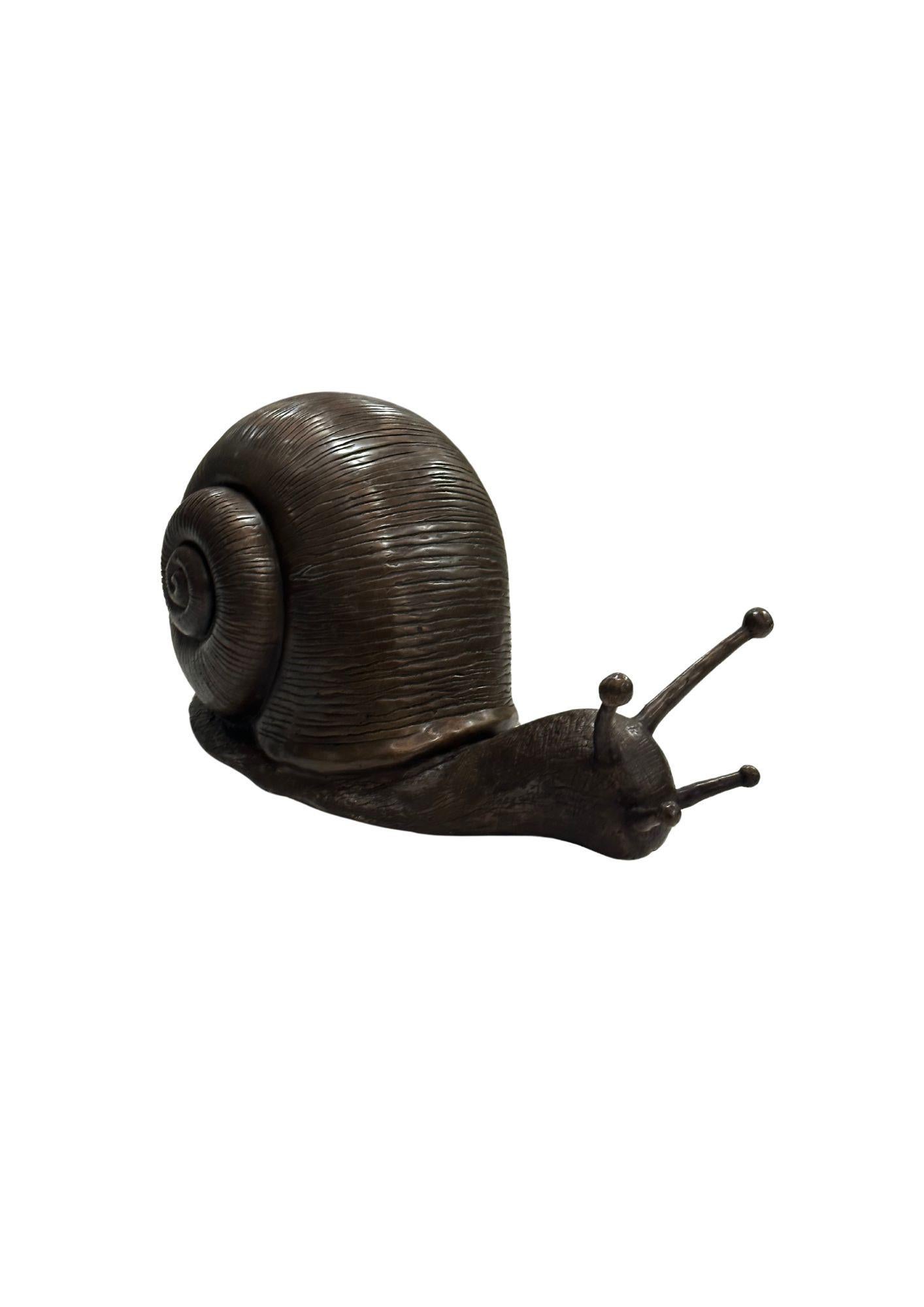 Questa raffinata scultura di lumaca in ottone cattura la bellezza della natura con una notevole maestria e una forma elegante. La conchiglia a spirale è ornata da incisioni delicate e vorticose che catturano la luce, accentuando le sue curve