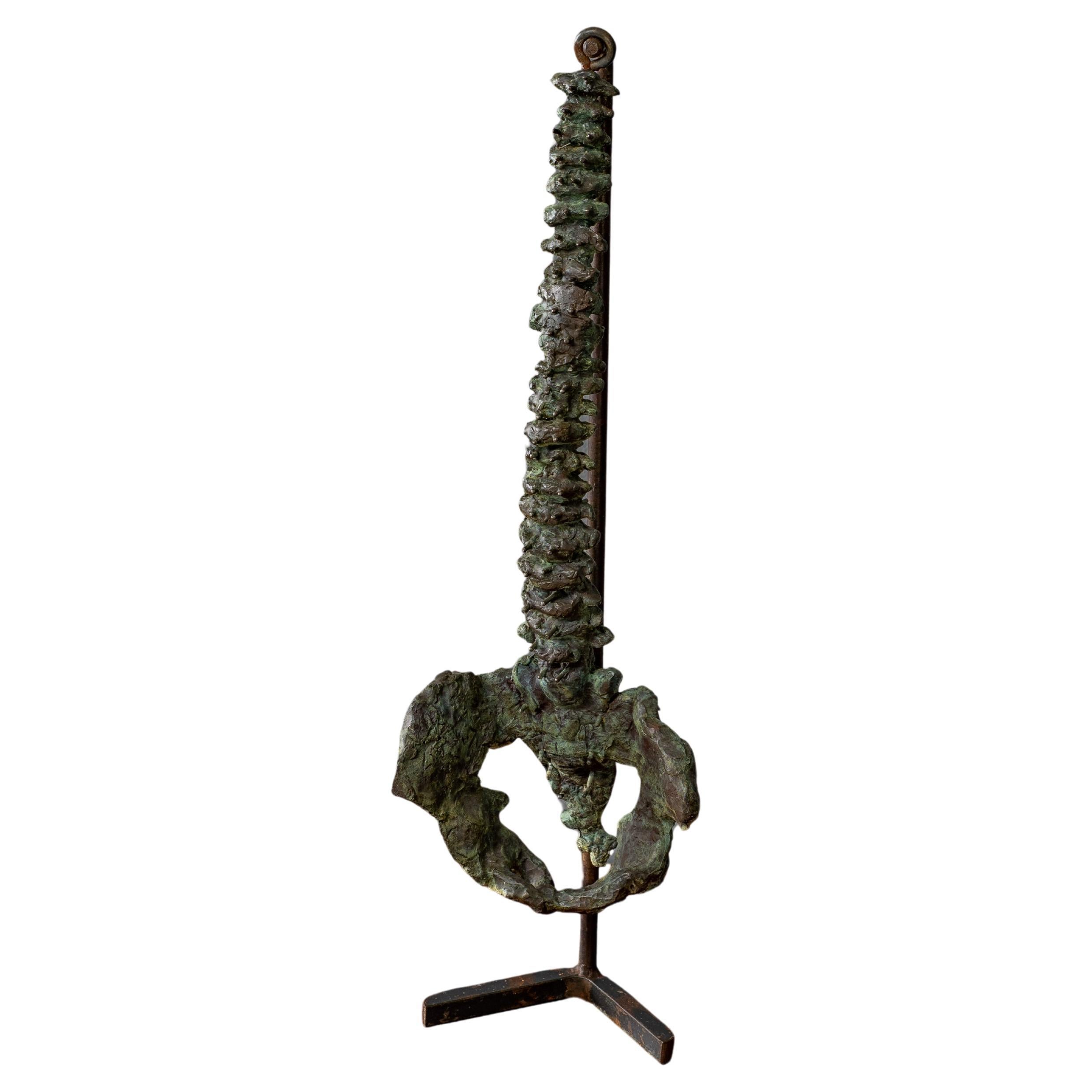 Cast Bronze Spinal Sculpture