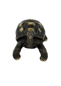 Schildkröte Skulptur aus Bronze