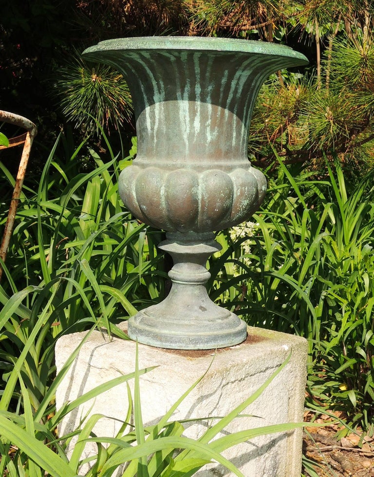 Cast Bronze Urn, French, 19th Century at 1stDibs