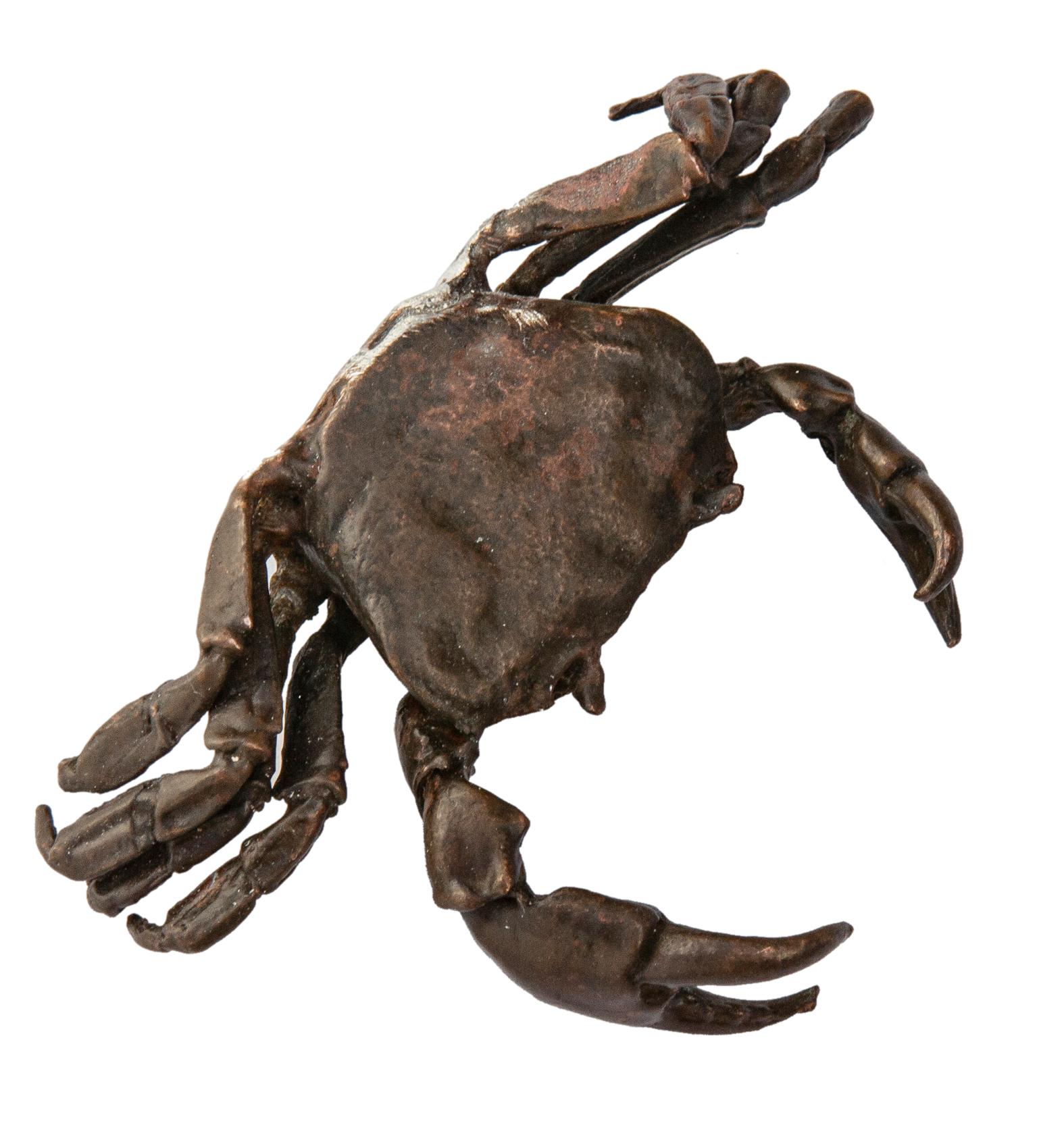 Granchio fuso in bronzo con 7 zampe. Una bella opera d'arte di un artista articolato e sconosciuto. Questo pezzo non è firmato.